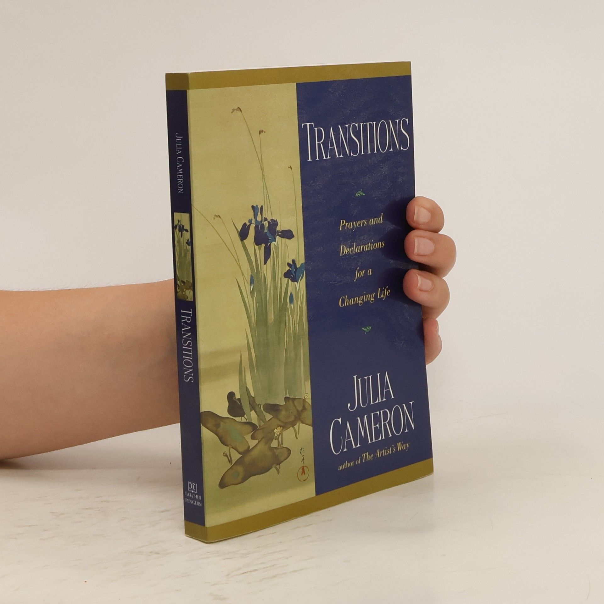 Julia Cameron Transitions