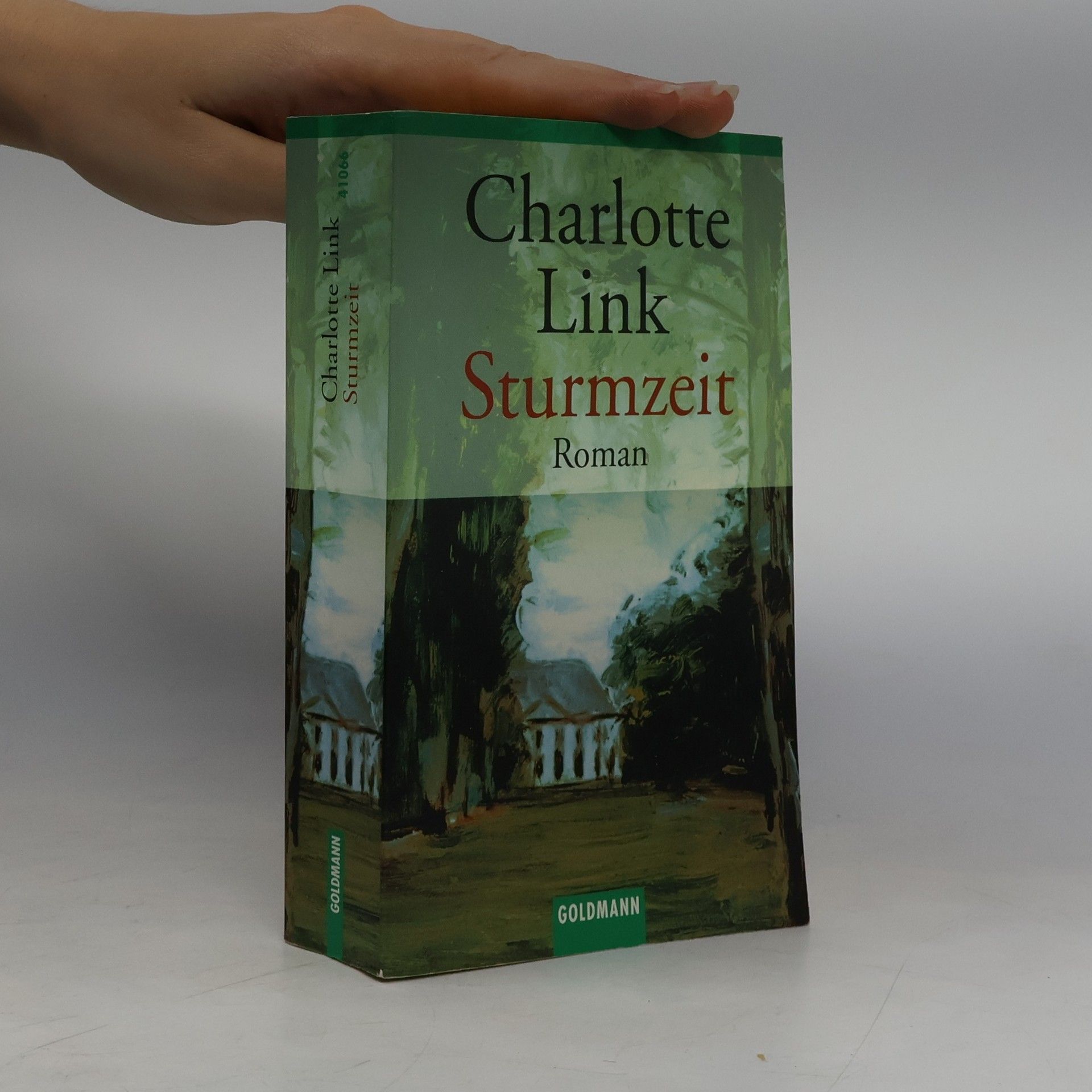 Charlotte Link Sturmzeit