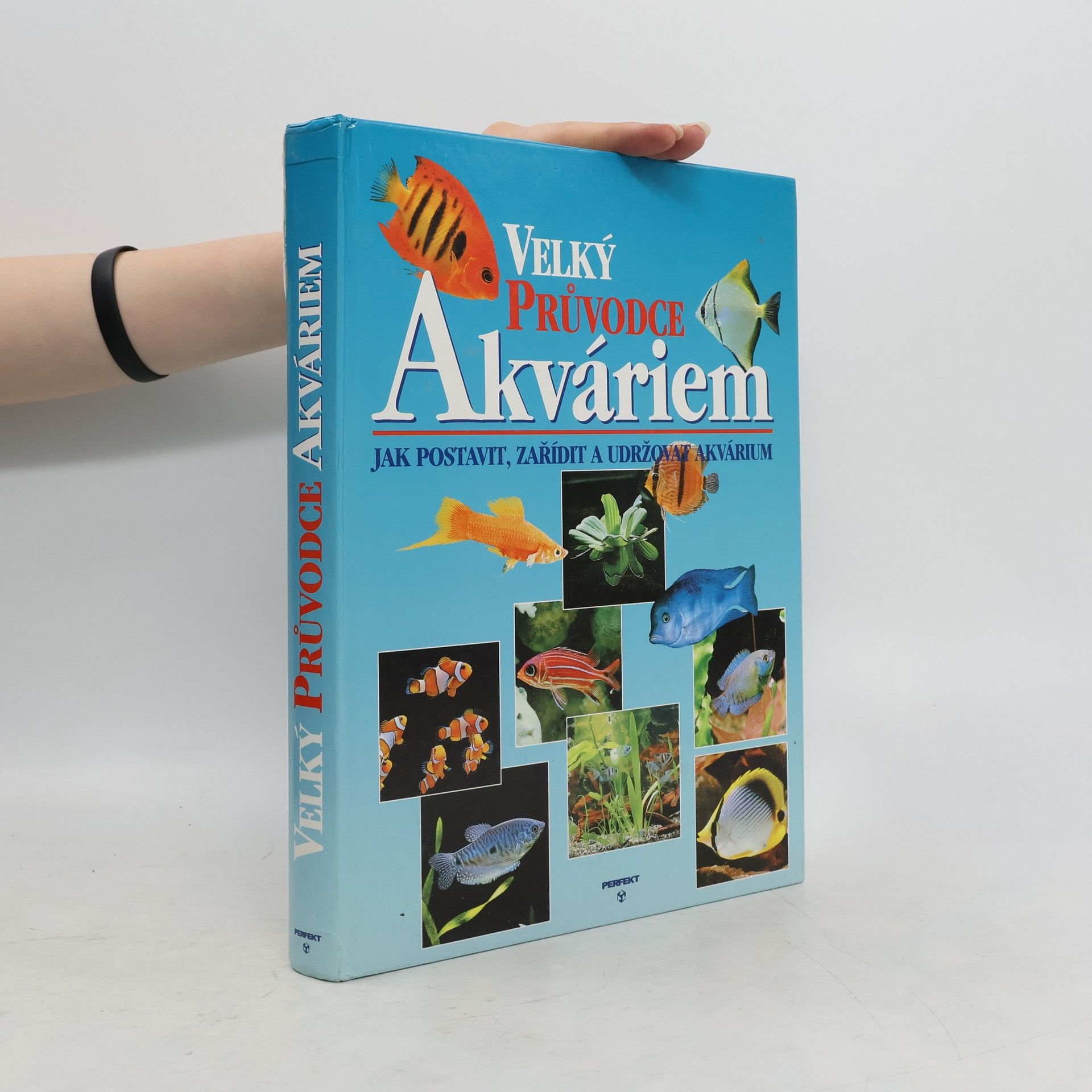 Thierry Maitre Allain Velký průvodce akváriem. Jak postavit, zařídit a udržovat akvárium