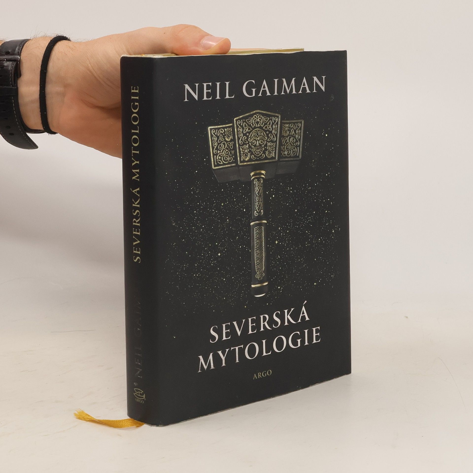Neil Gaiman Severská mytologie