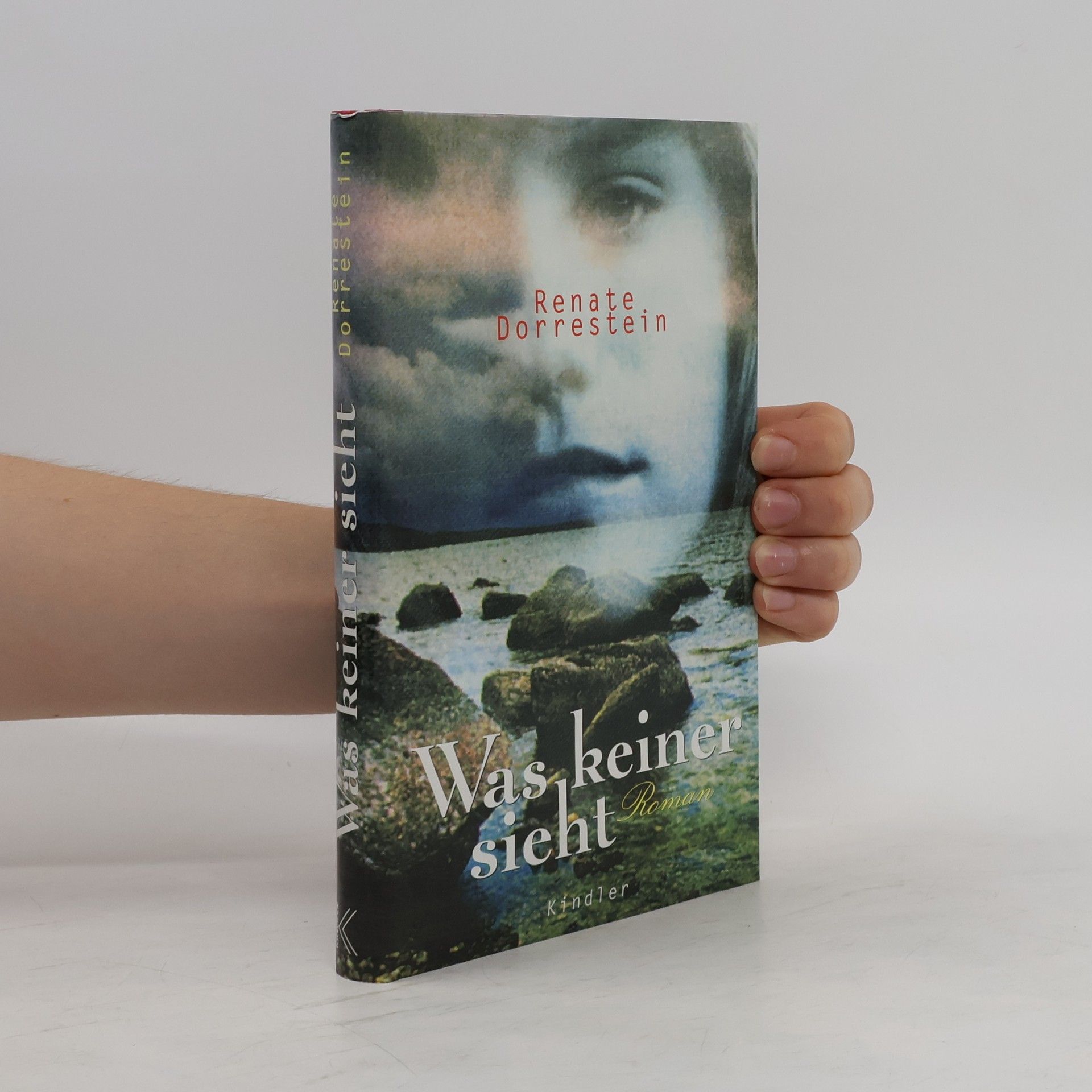Renate Dorrestein Was keiner sieht