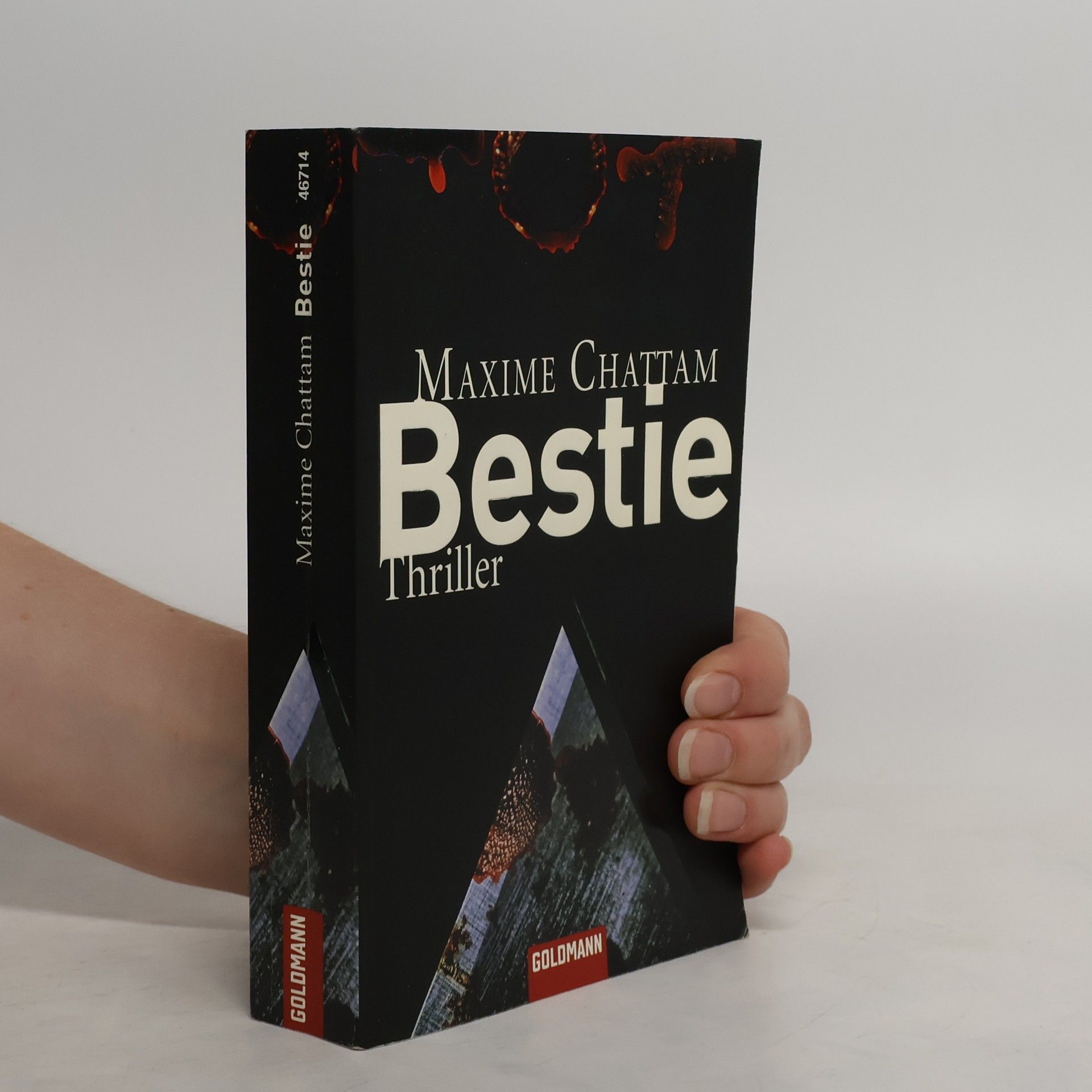 Maxime Chattam Bestie