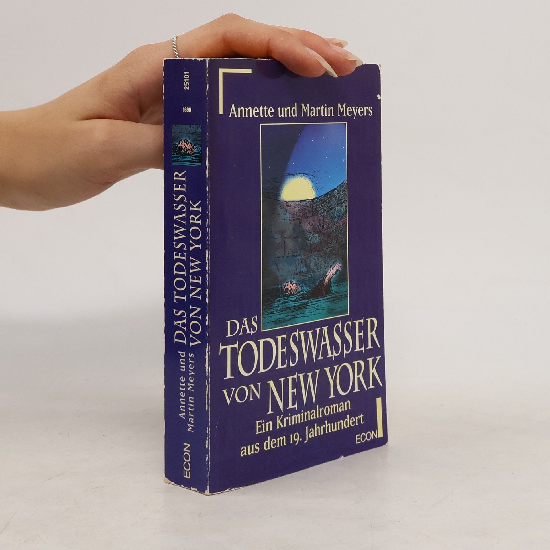 Annette Meyers Das Todeswasser von New York. Ein Kriminalroman aus dem 19. Jahrhundert