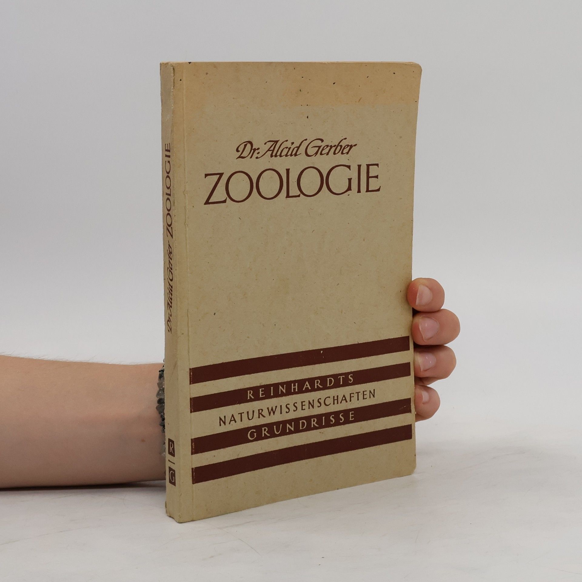 Alcid Gerber Zoologie