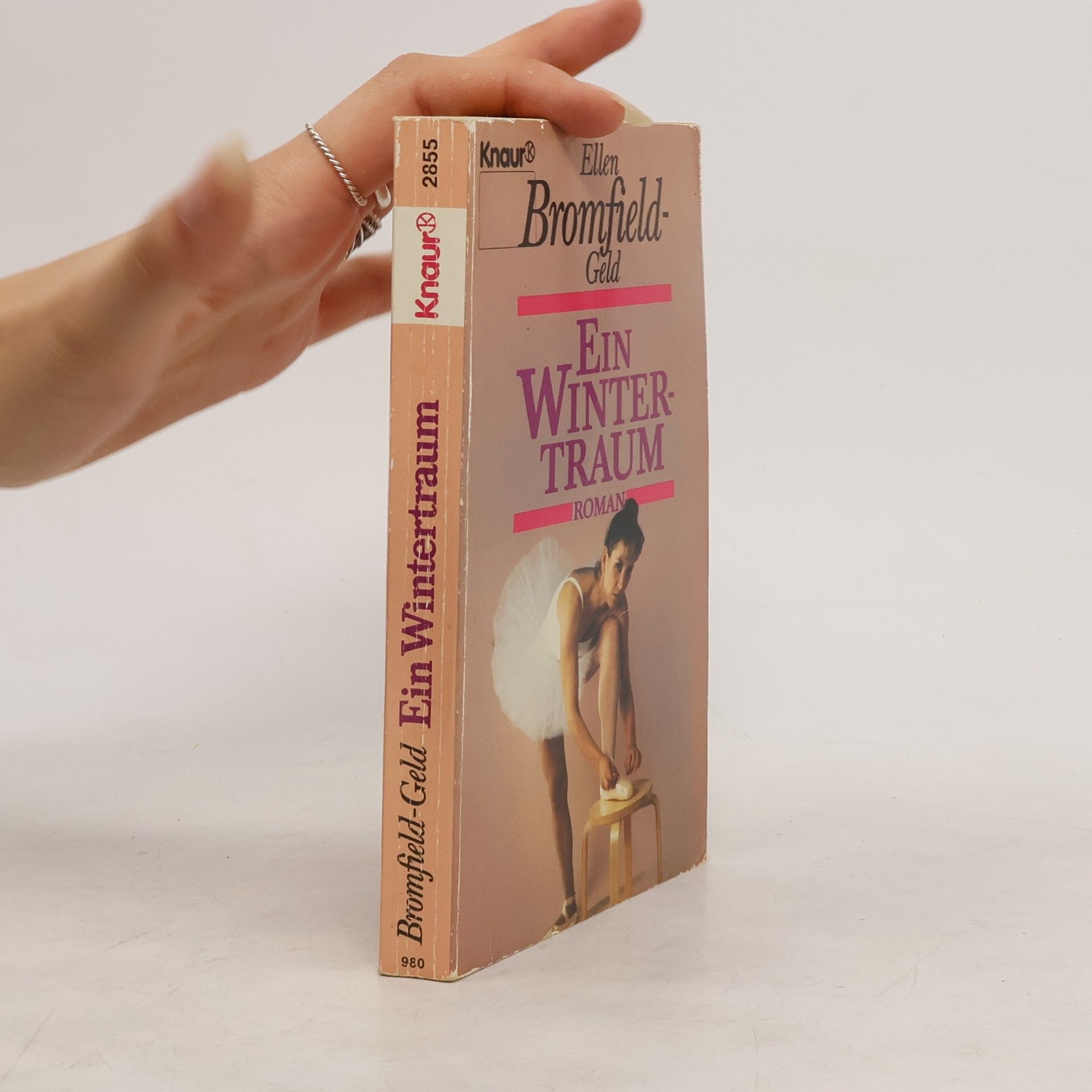 Ellen Bromfield Geld Ein Wintertraum