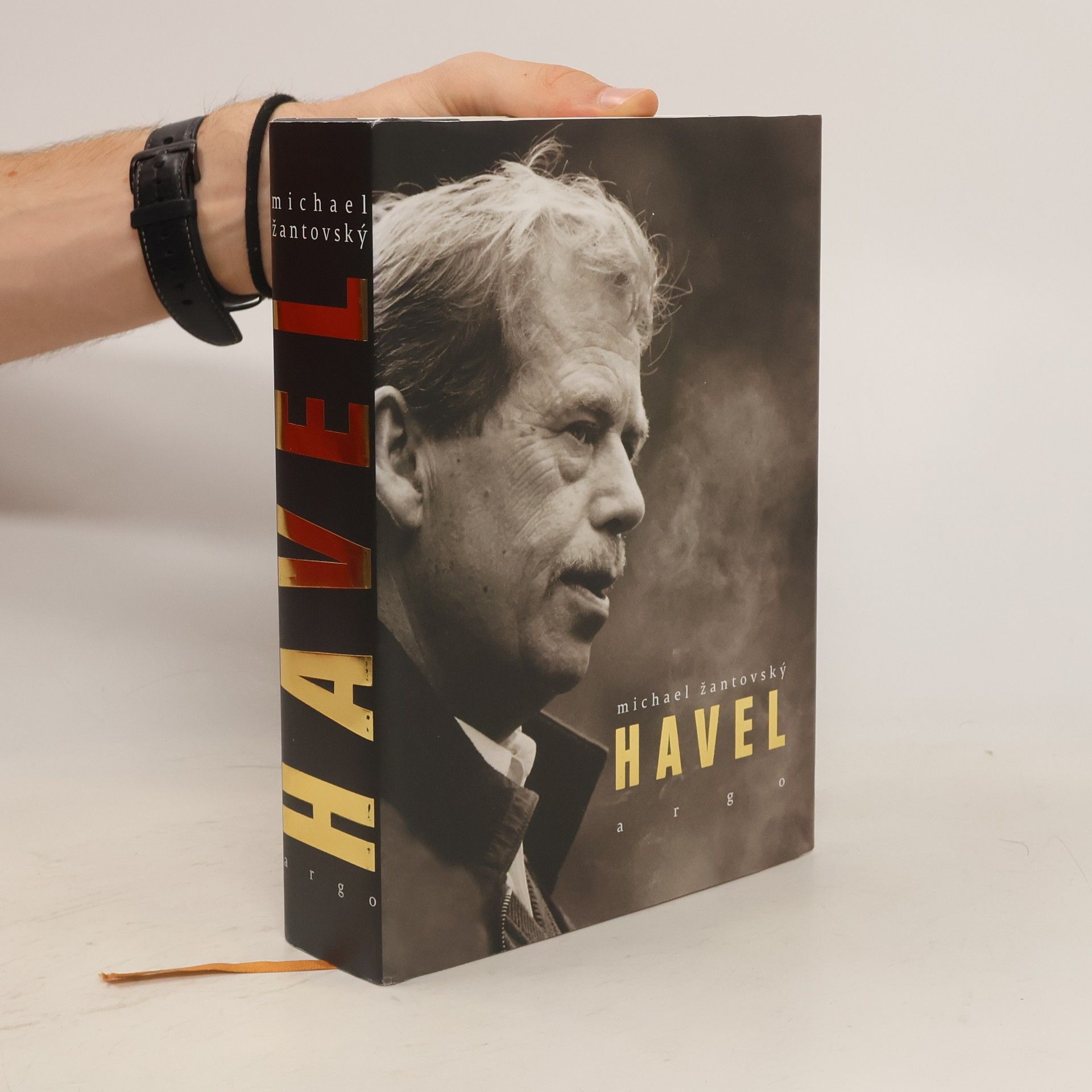 Michael Žantovský Havel