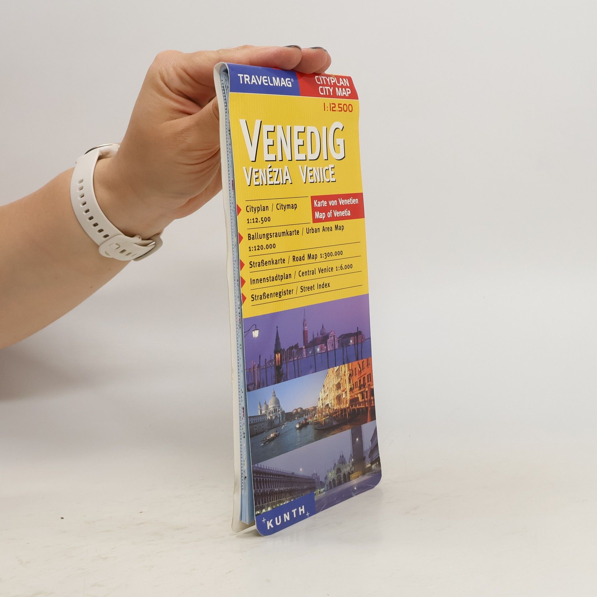 kolektiv Venedig