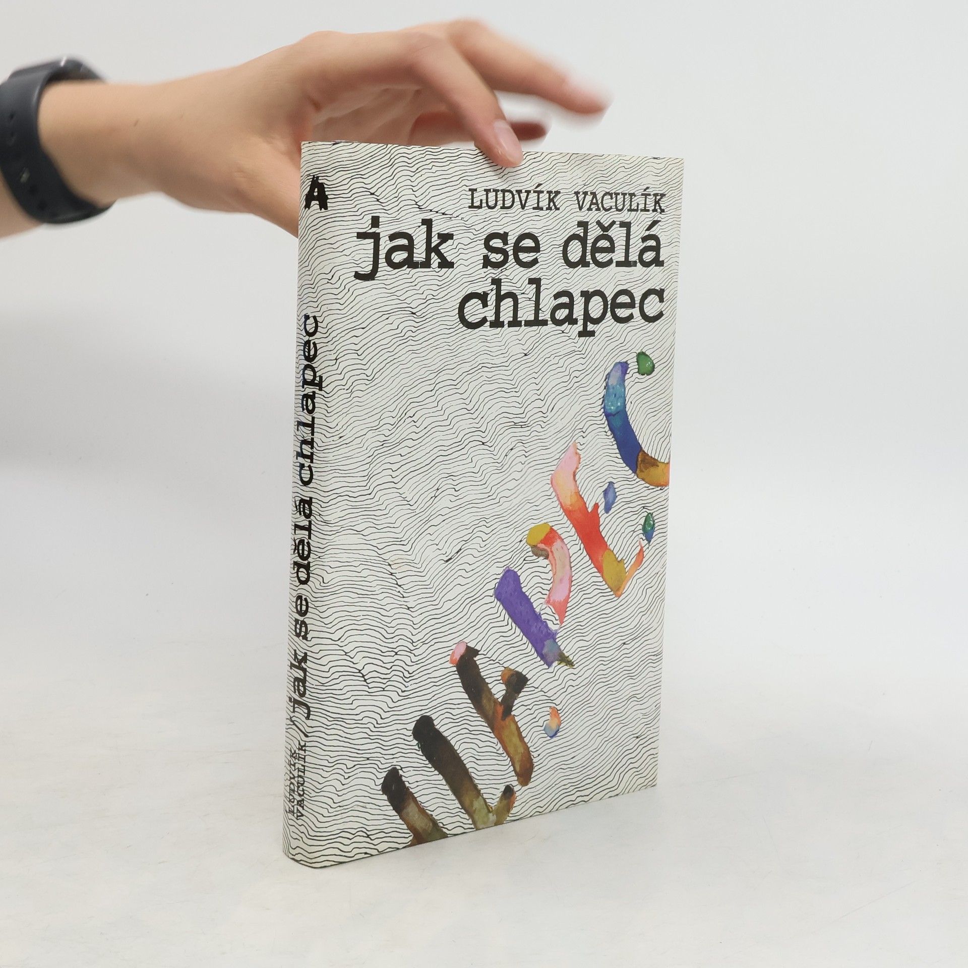 Ludvík Vaculík Jak se dělá chlapec