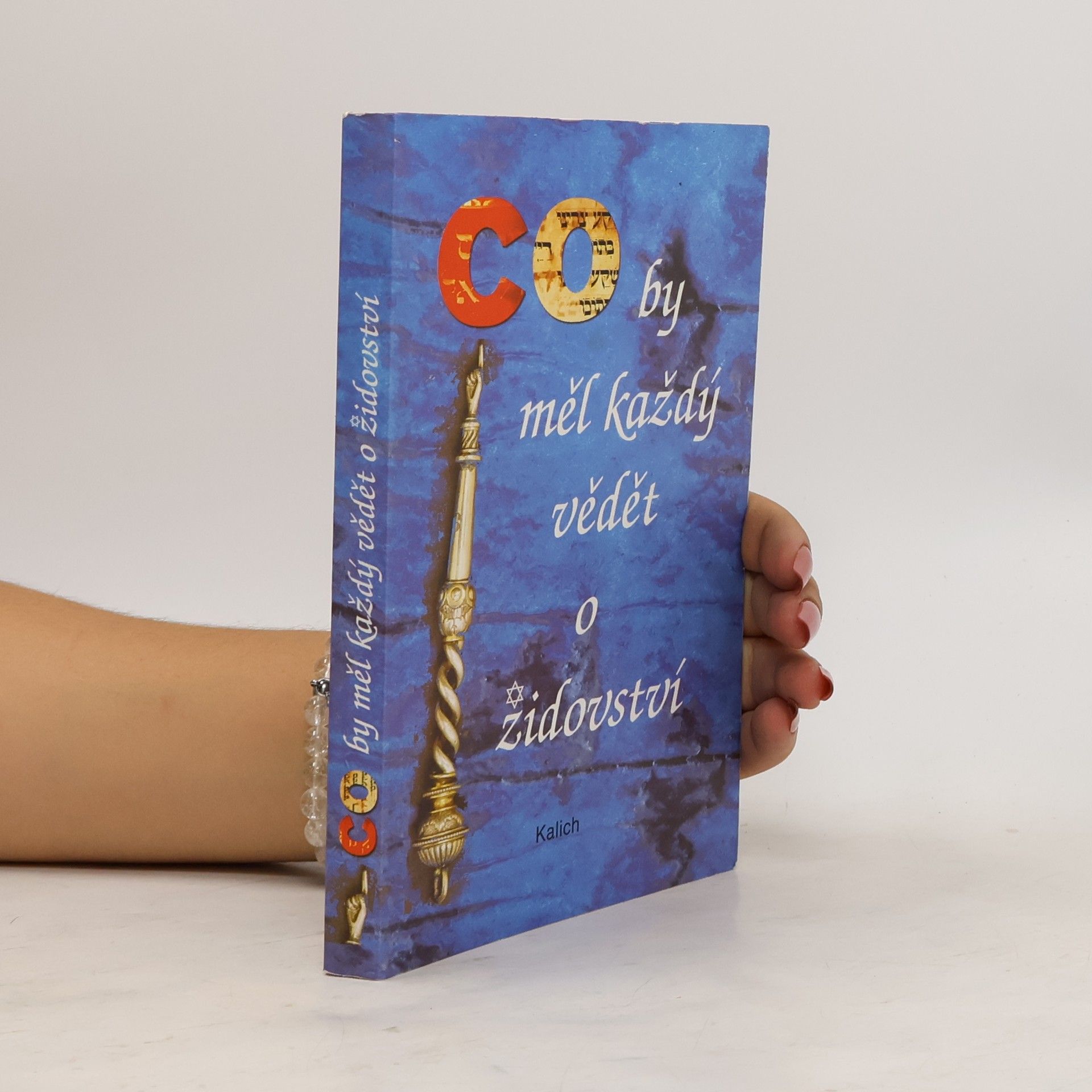 Lydie Cejpová Co by měl každý vědět o židovství