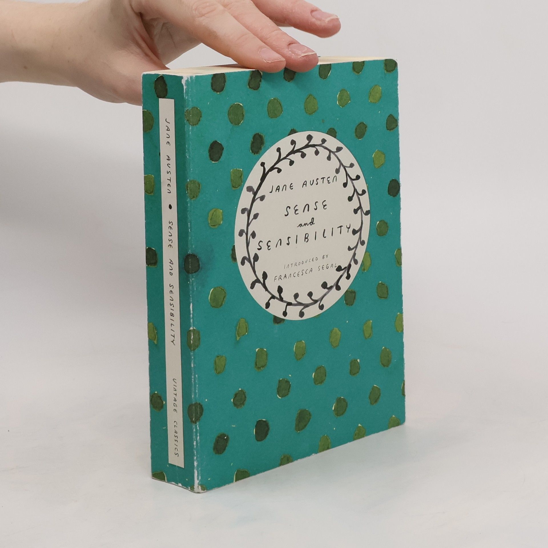 Jane Austen Sense and Sensibility