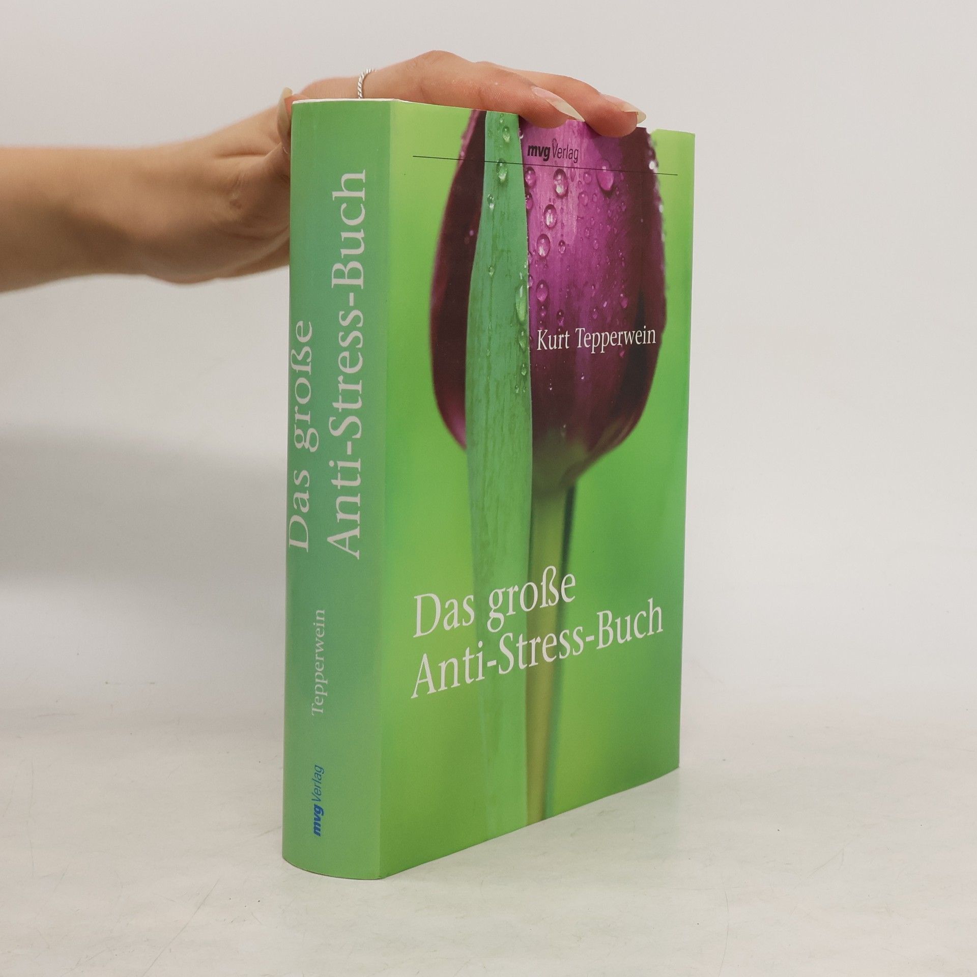 Kurt Tepperwein Das große Anti-Stress-Buch