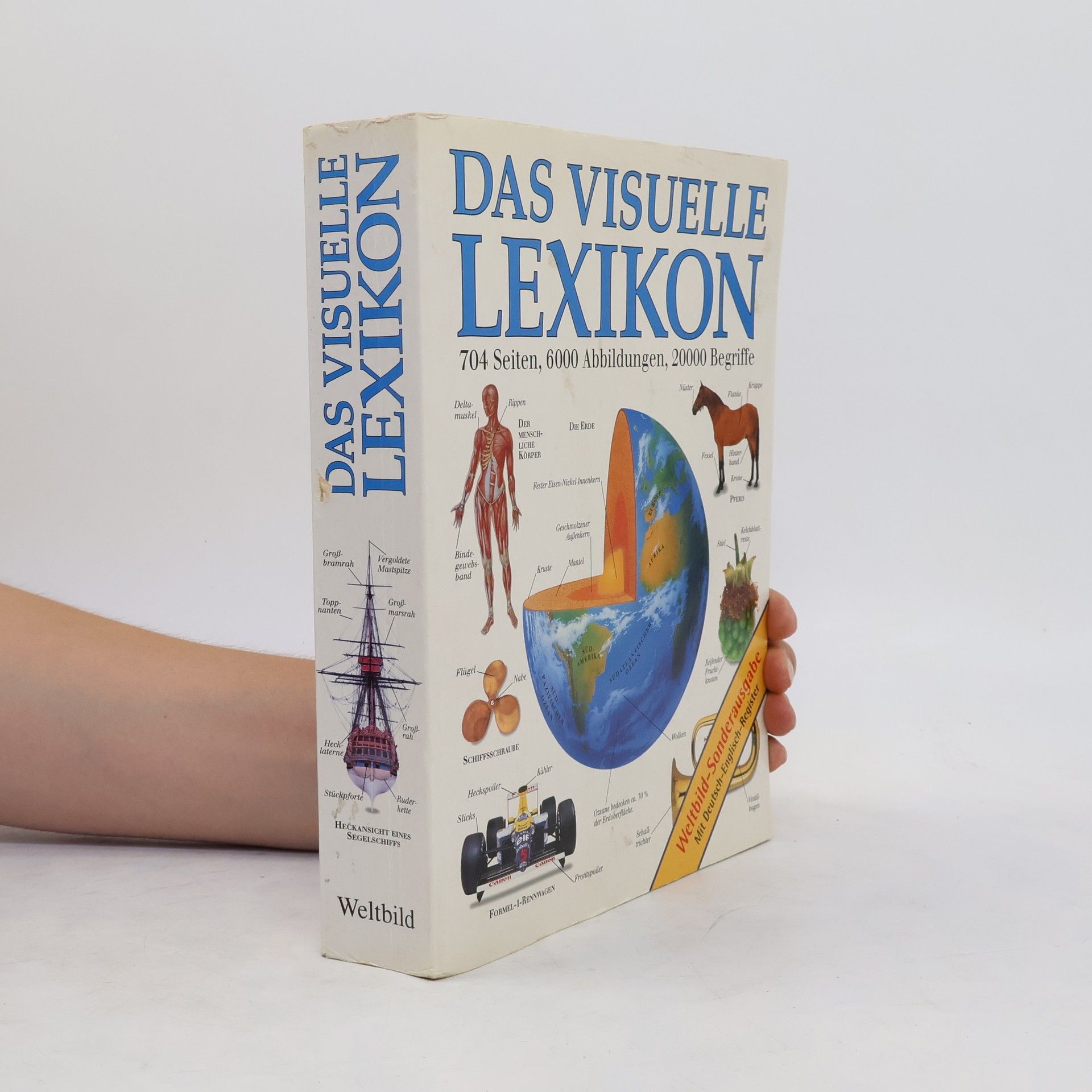Margot Wilhelmi Das visuelle Lexikon