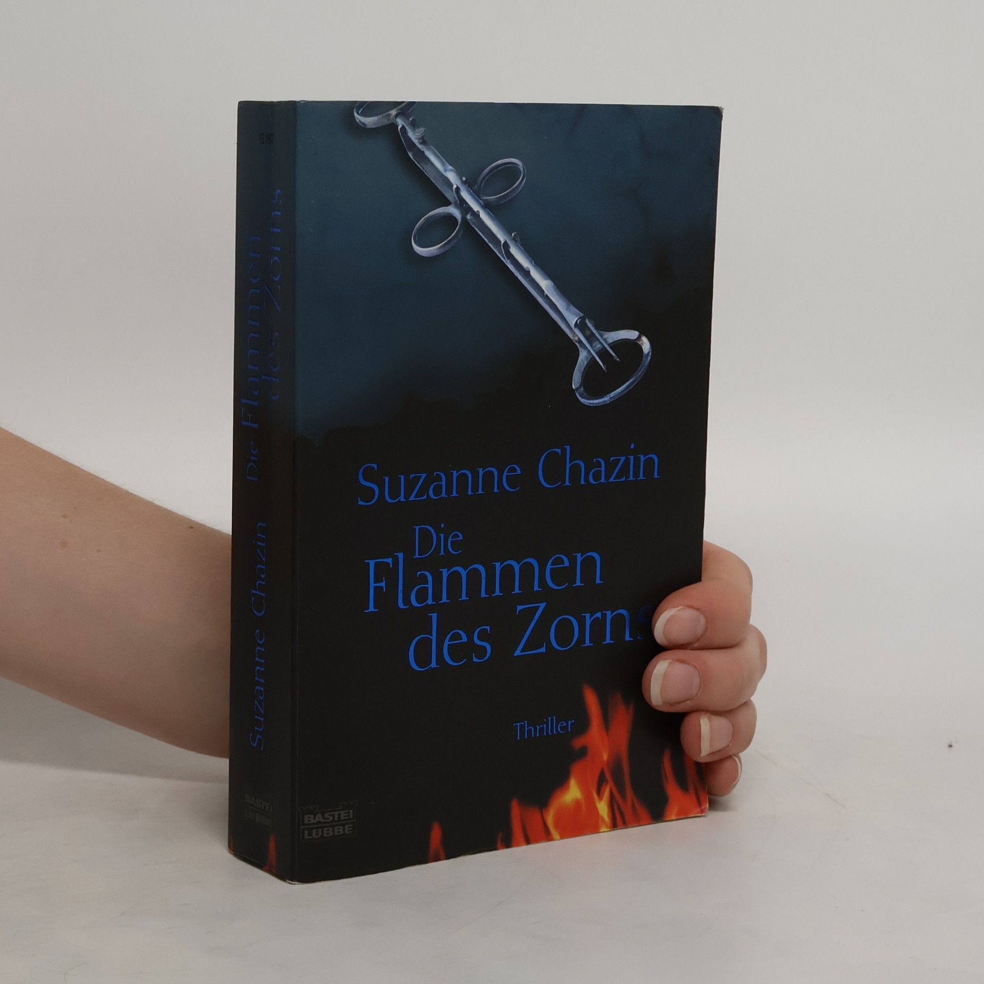 Suzanne Chazin Die Flammen des Zorns