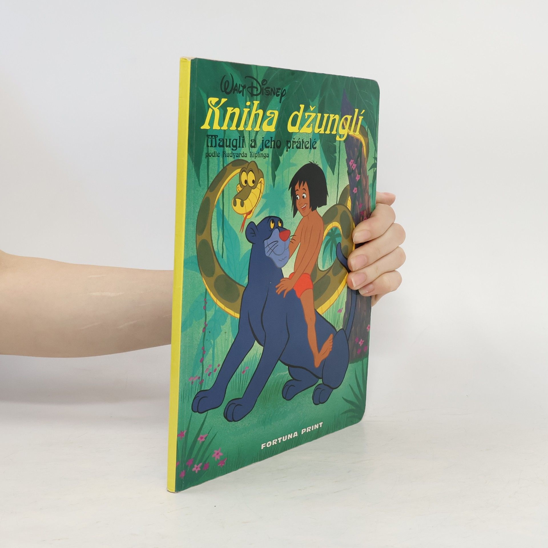 Rudyard Kipling Kniha džunglí. Mauglí a jeho přátelé