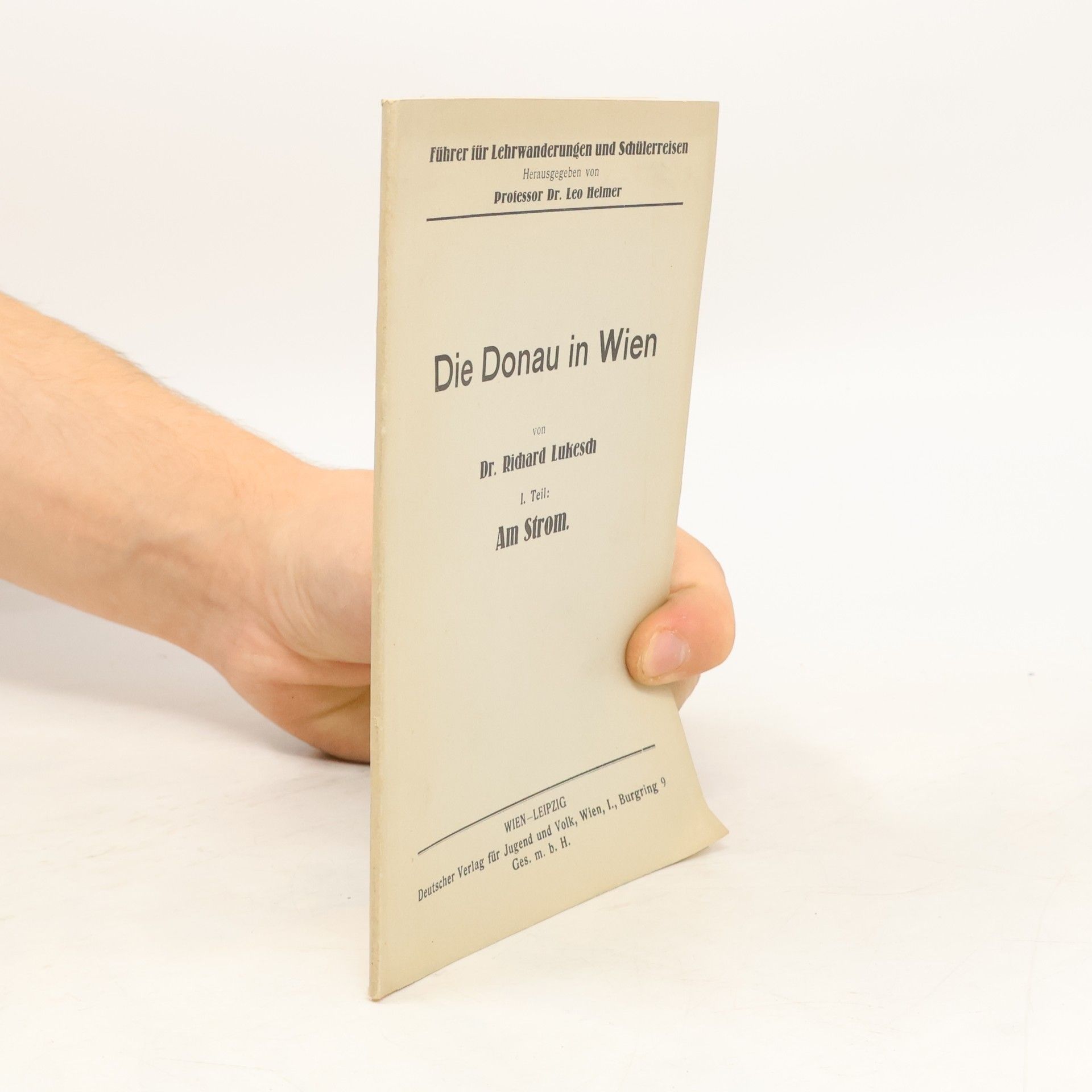 Richard Lukesch Die Donau in Wien I. Teil