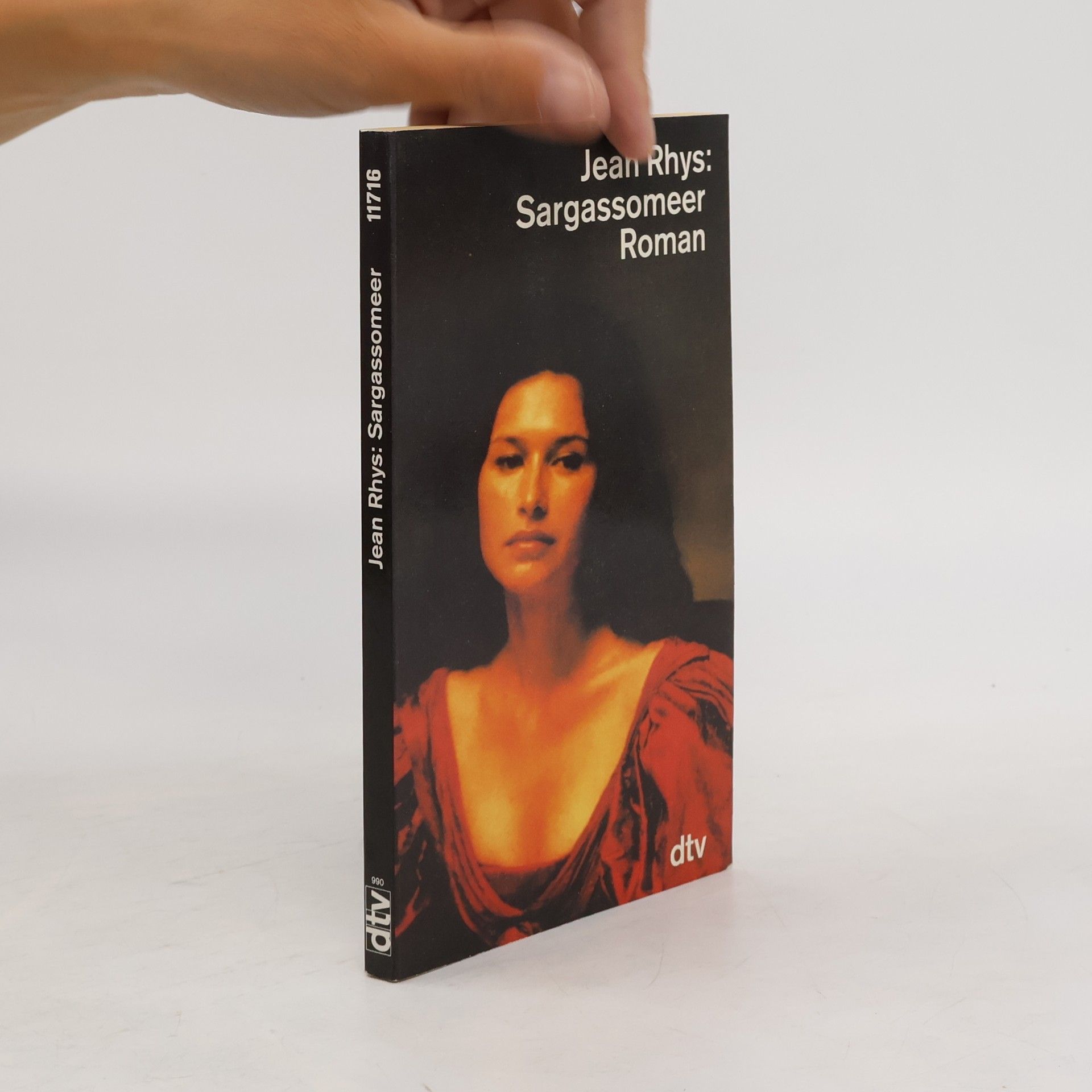 Jean Rhys Sargassomeer