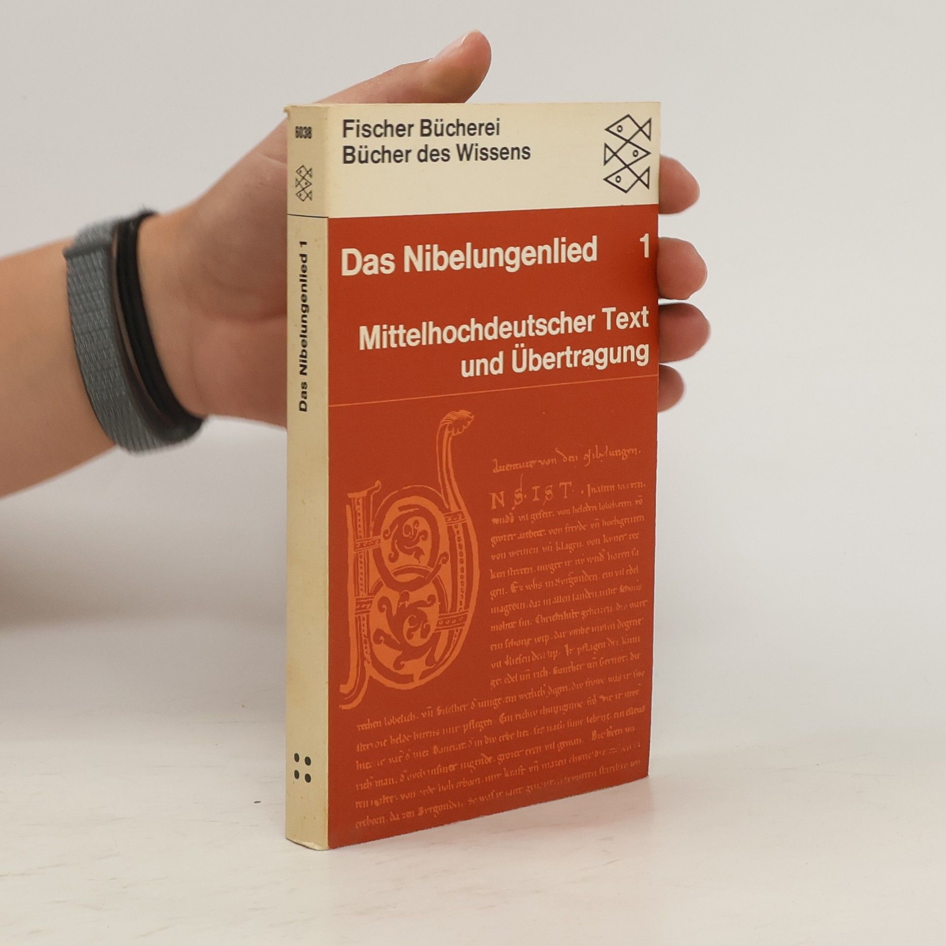 kolektiv Das Niebelungenlied. 1. Teil