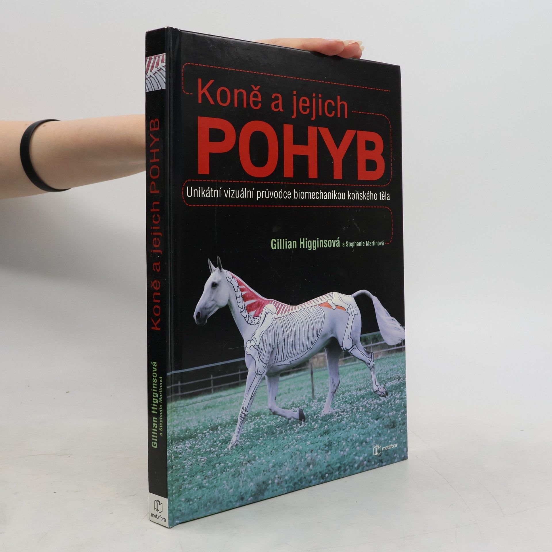 Gillian Higgins Koně a jejich pohyb