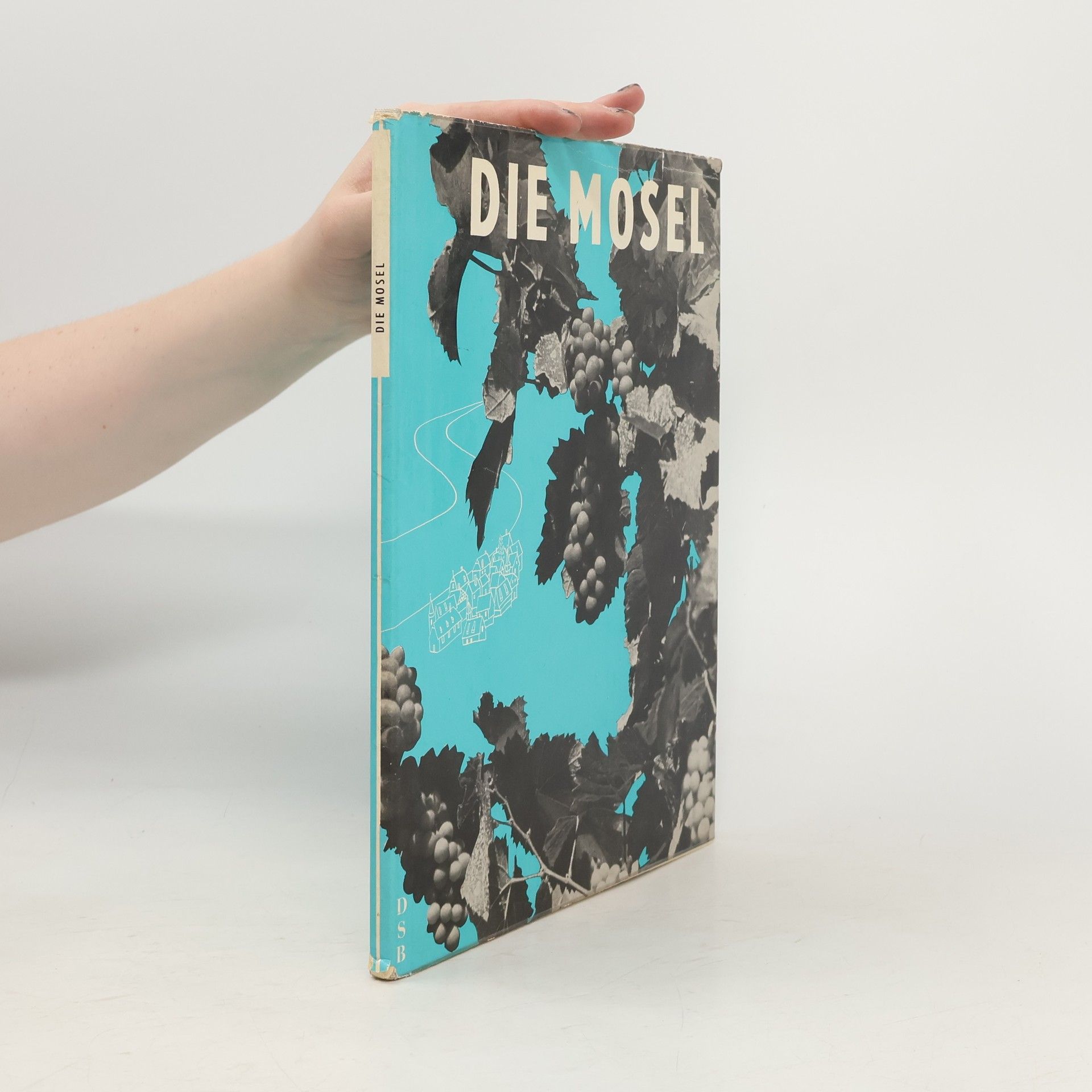 Collectif d'auteurs Die Mosel