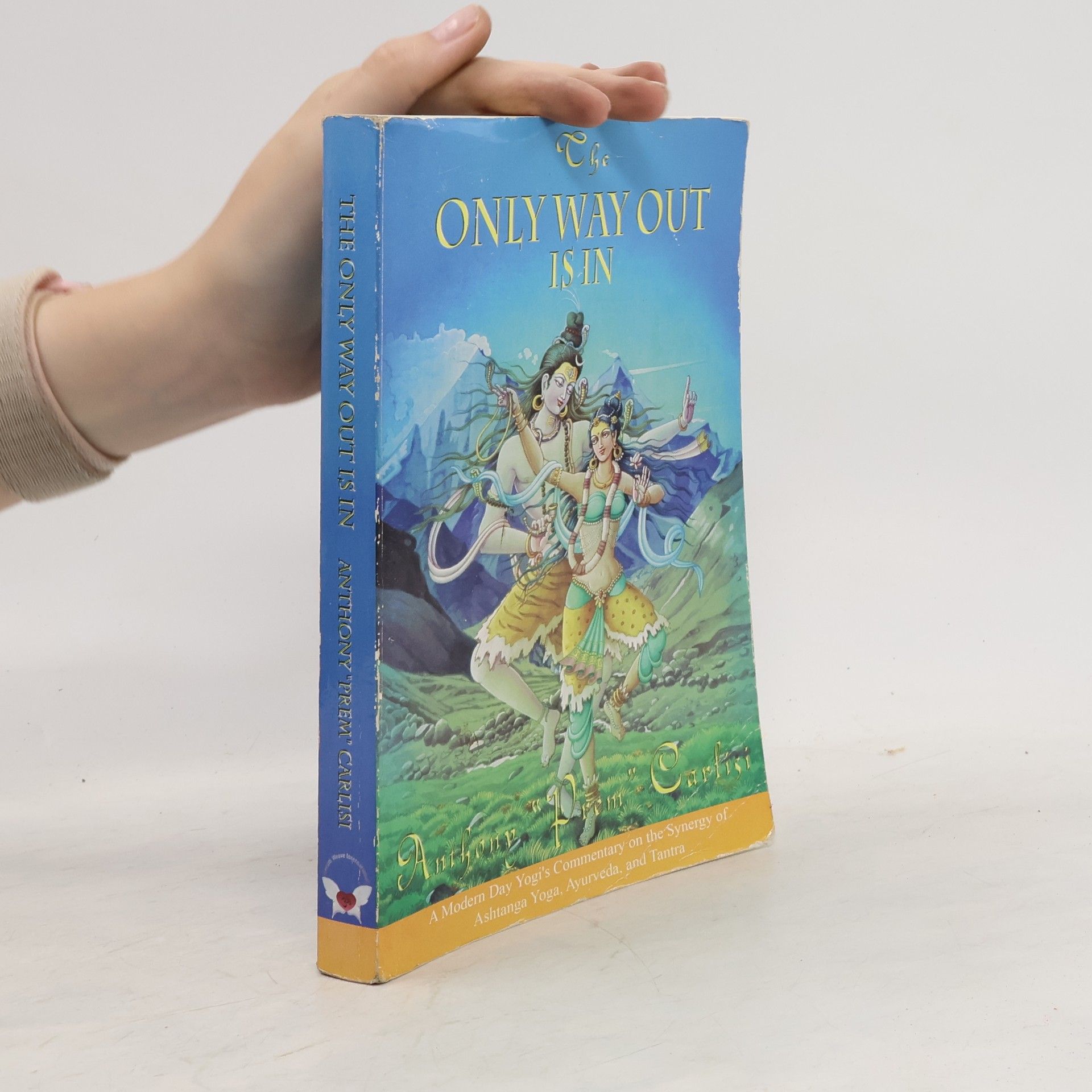 Anthony Prem Carlisi The Only Way Out is In