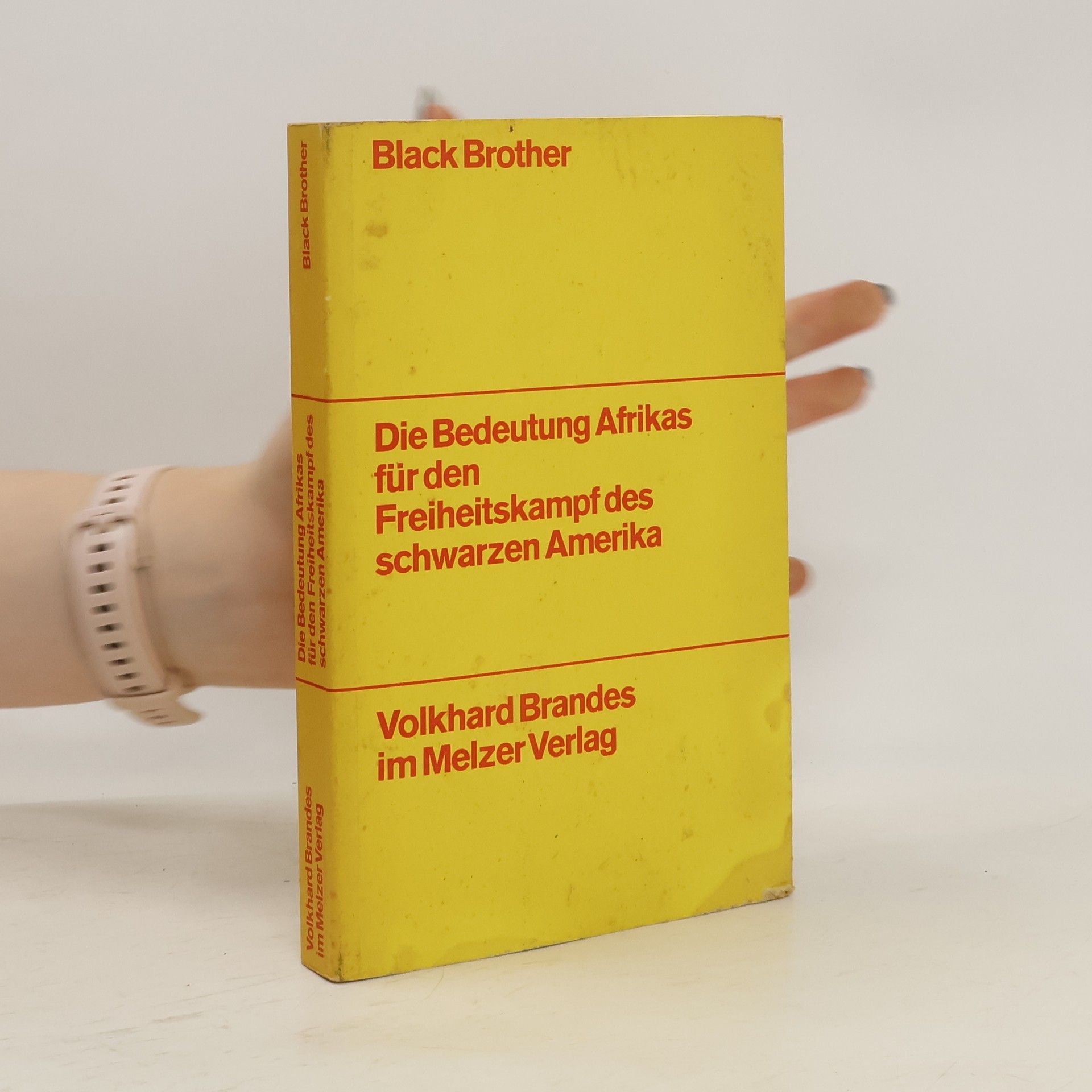 Volkhard Brandes Black Brothers. Die Bedeutung Afrikas für den Freiheitskampf des schwarzen Amerika