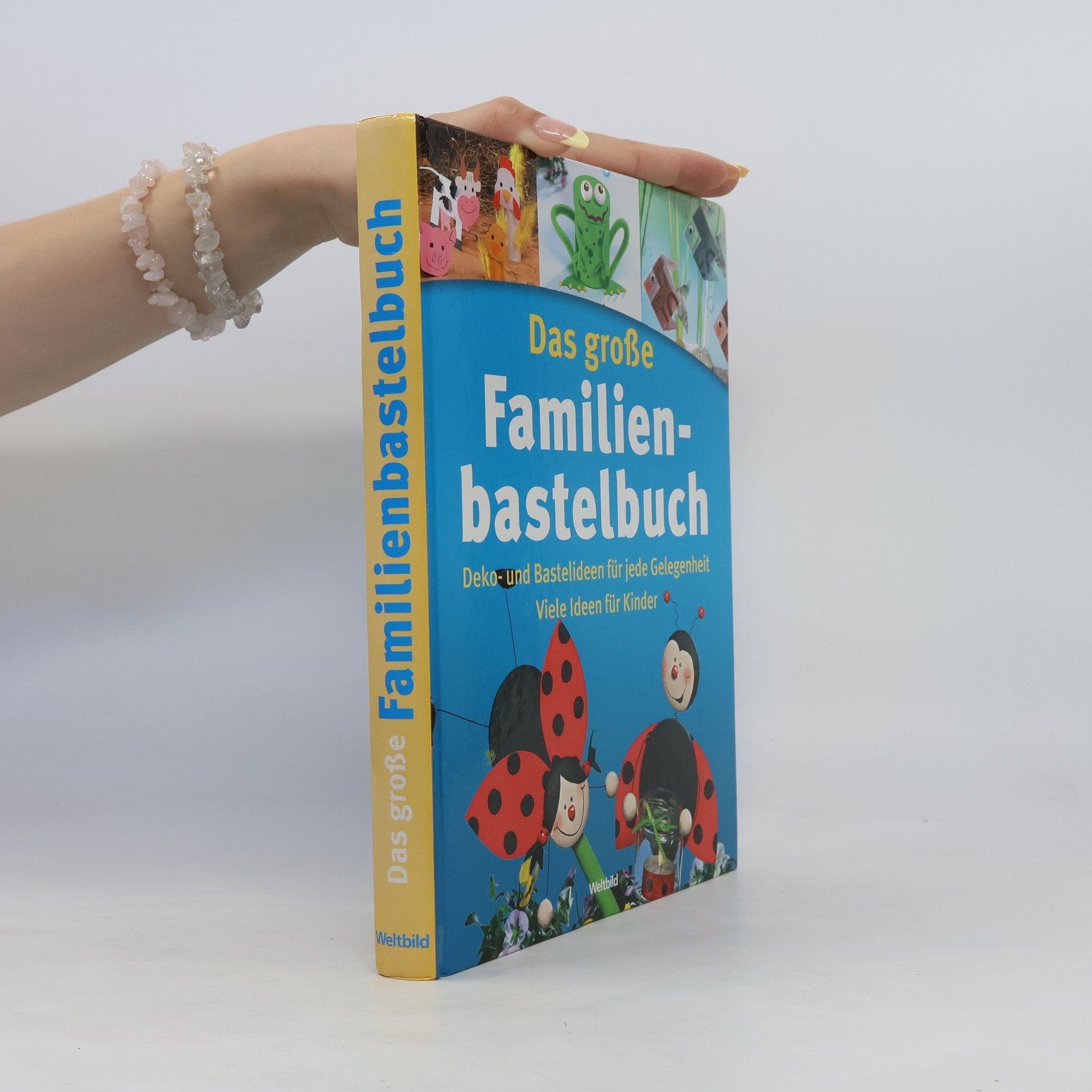 Autorenkollektiv Das große Familienbastelbuch