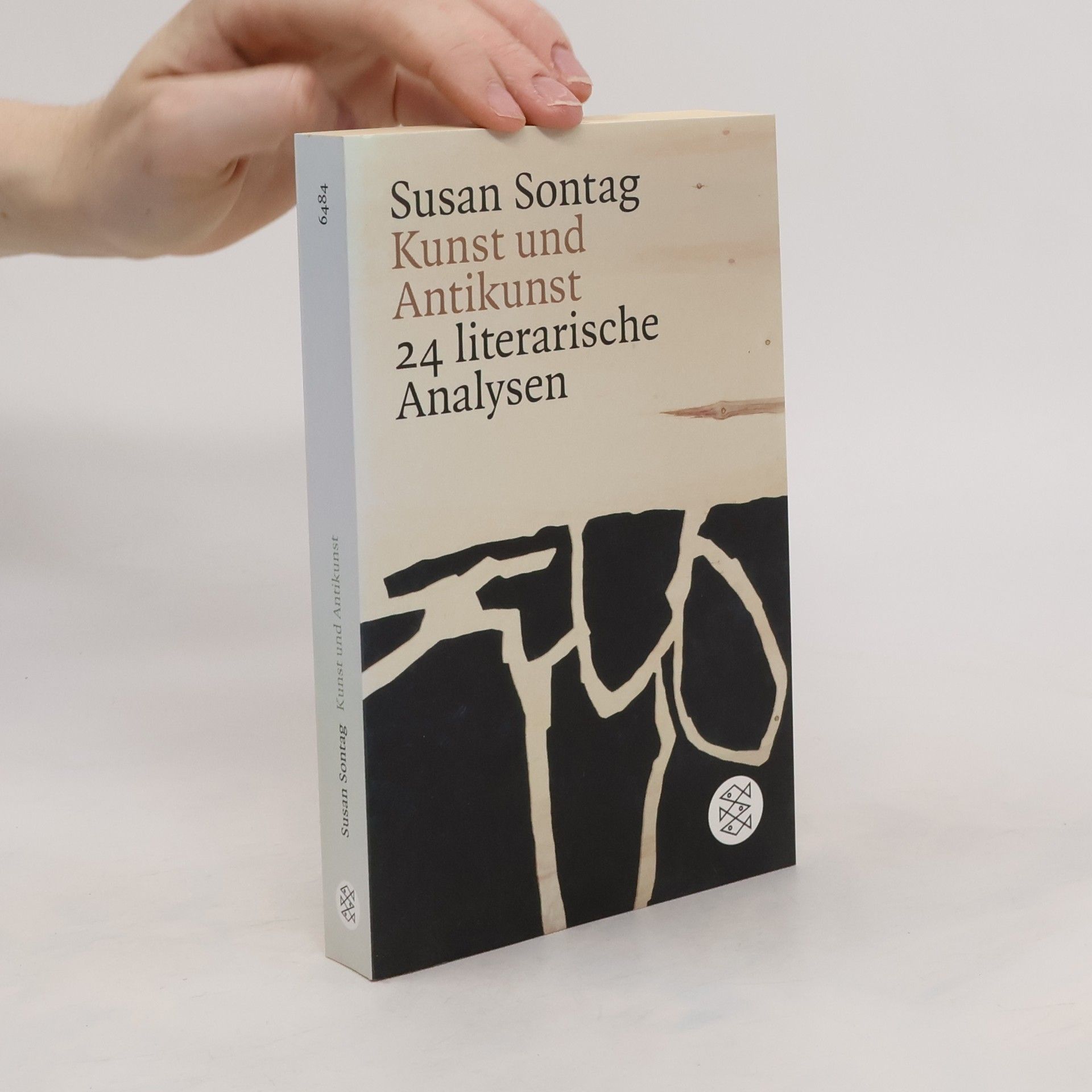 Susan Sontag Kunst und Antikunst