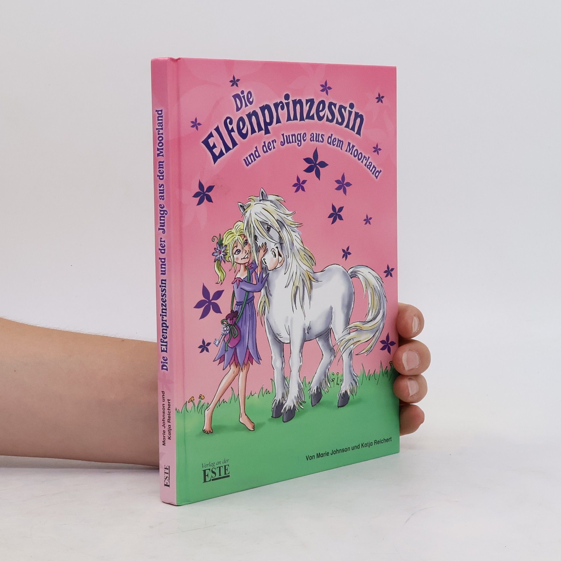 Marie Johnson Die Elfenprinzessin und der Junge aus dem Moorland