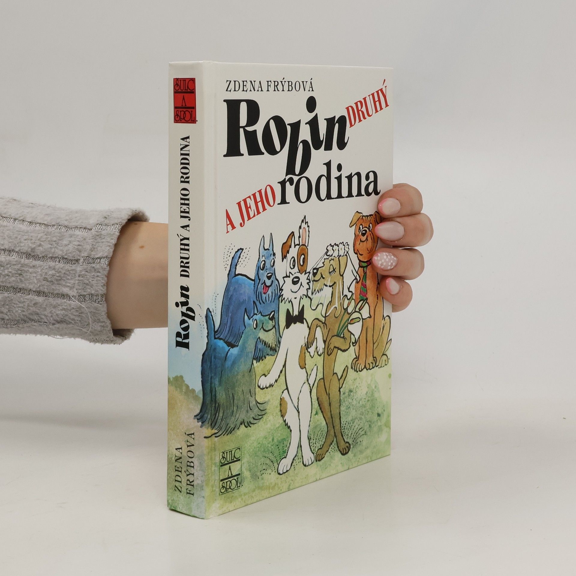 Zdena Frýbová Robin Druhý a jeho rodina