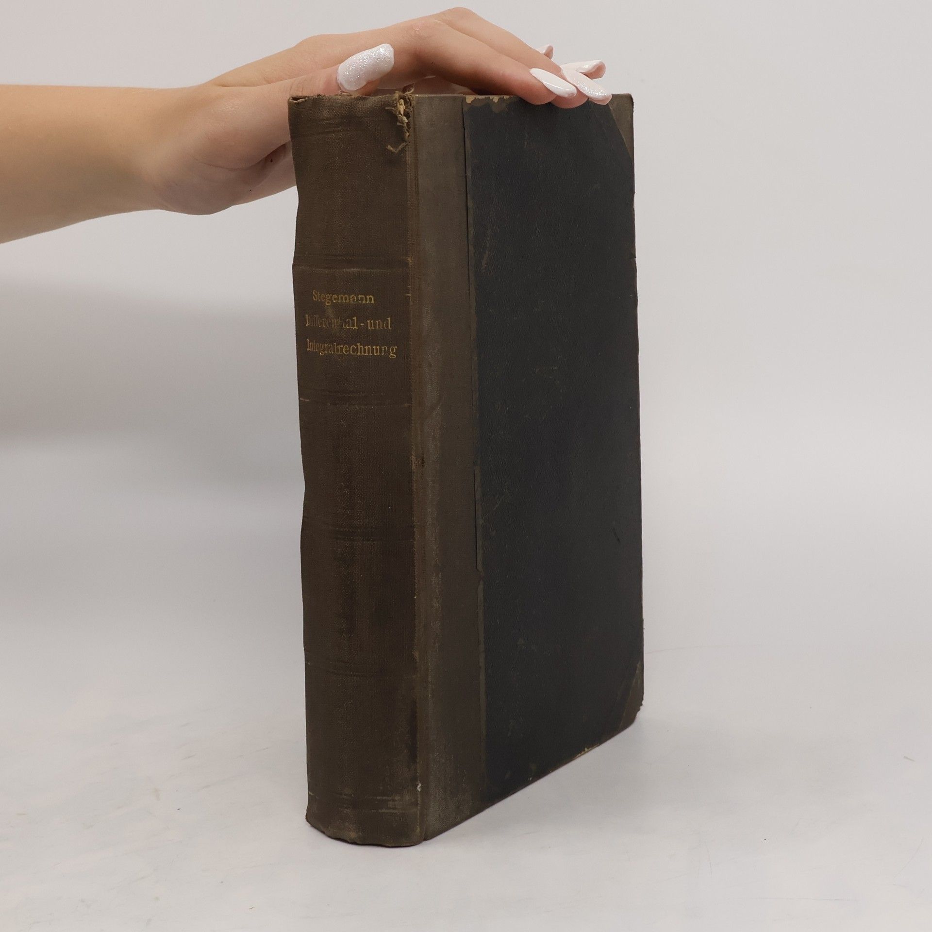 Max Stegemann Differential und Integral-Rechnung