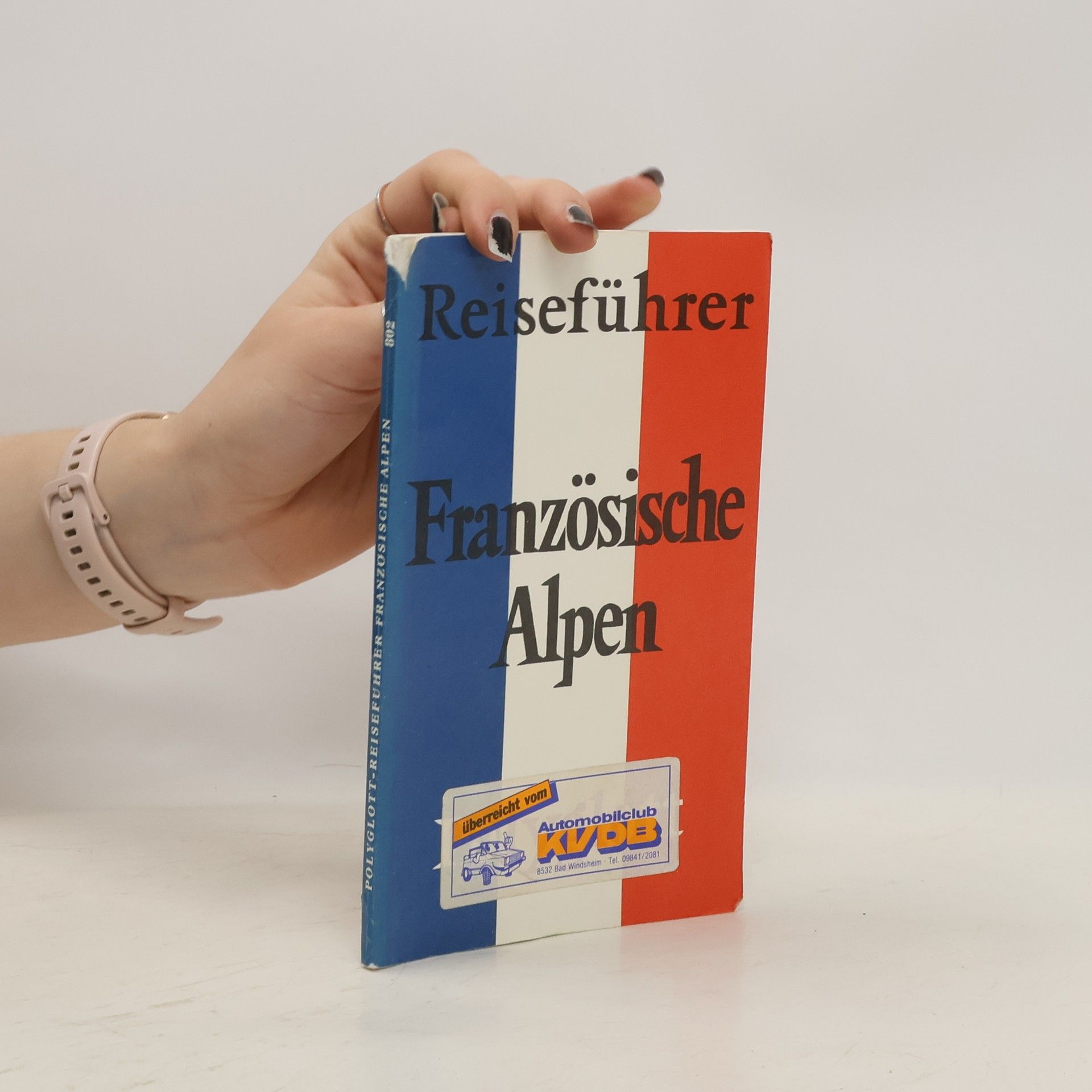 Eugen Eduard Hüsler Französische Alpen
