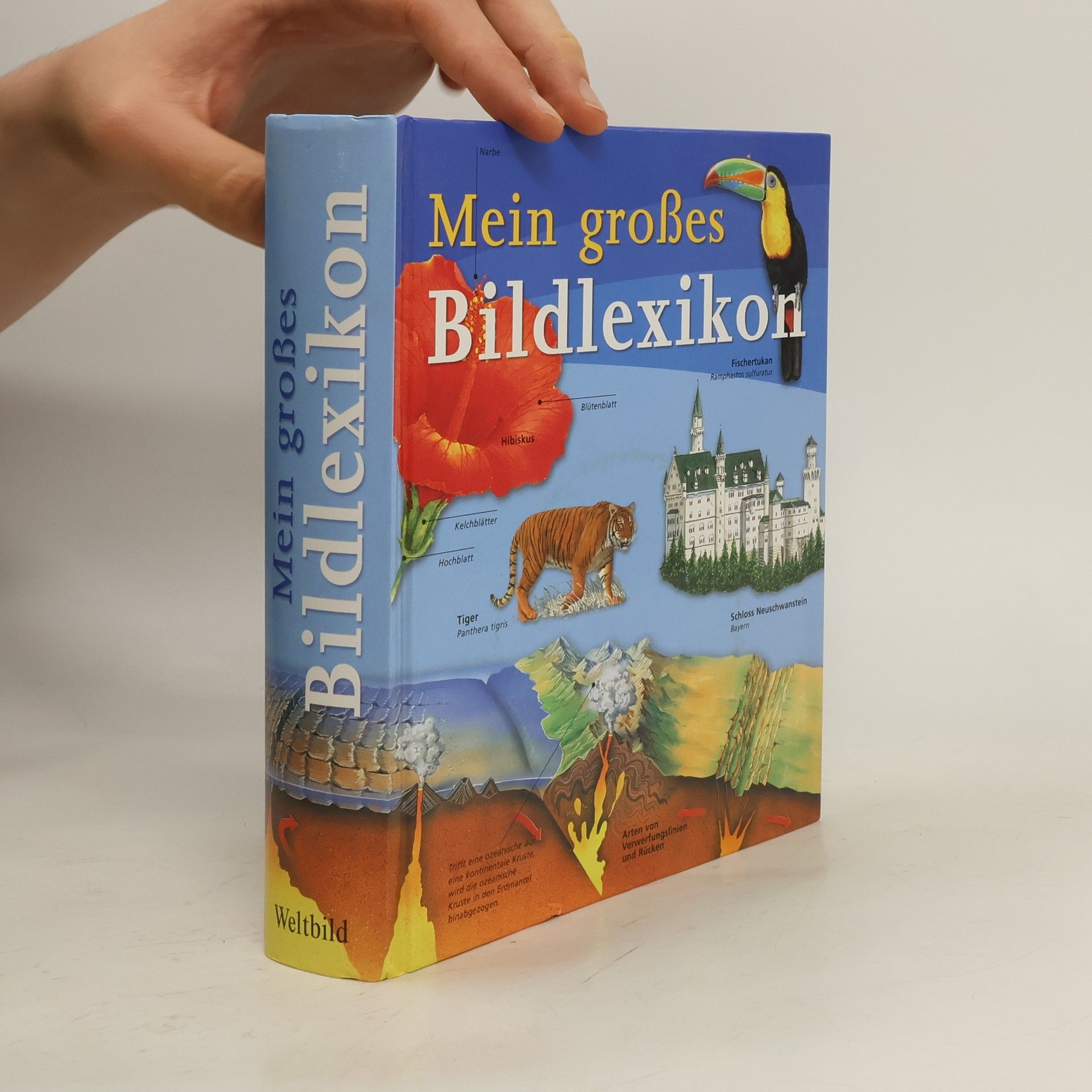 Sarah Anderson Mein großes Bildlexikon