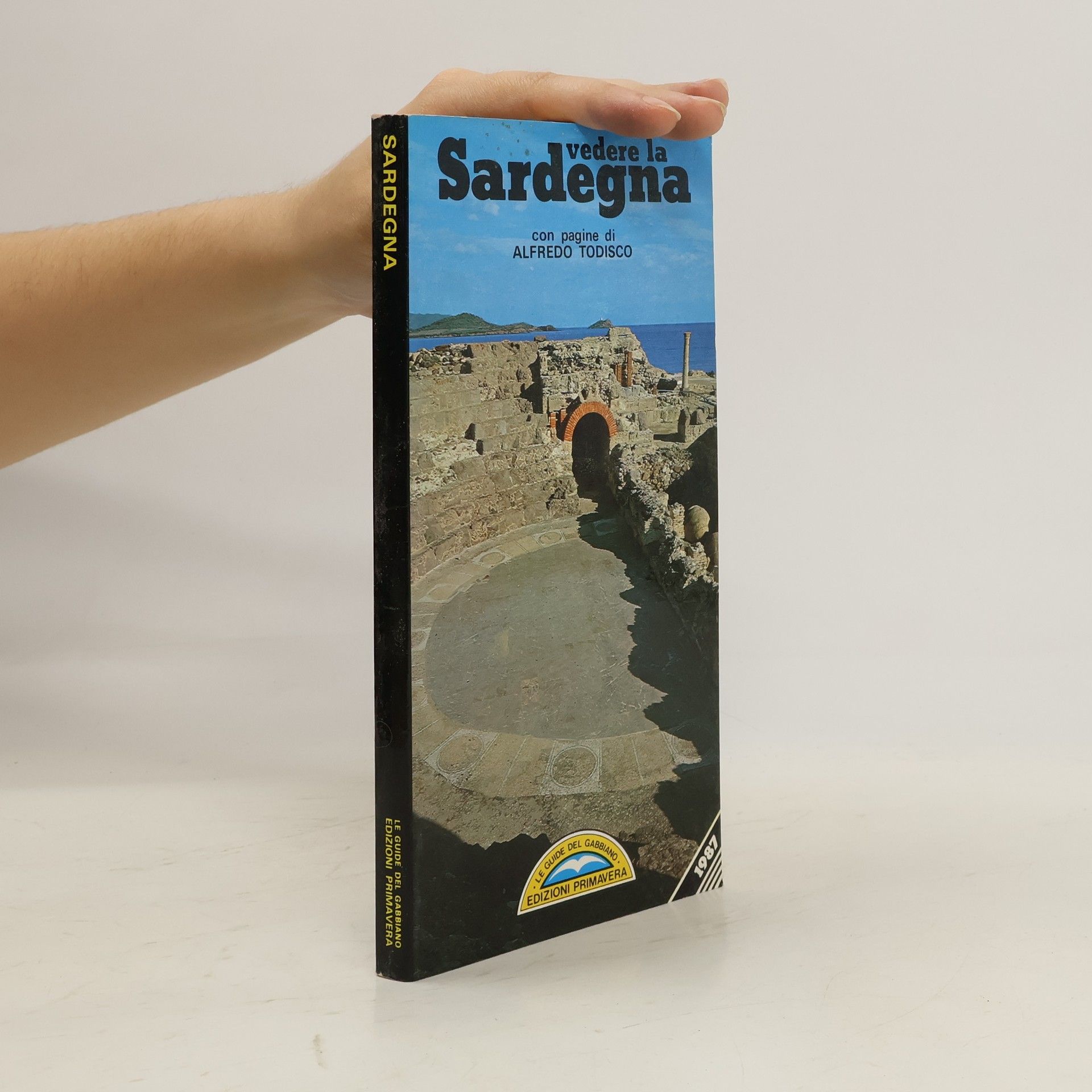 Autores varios Vedere la Sardegna