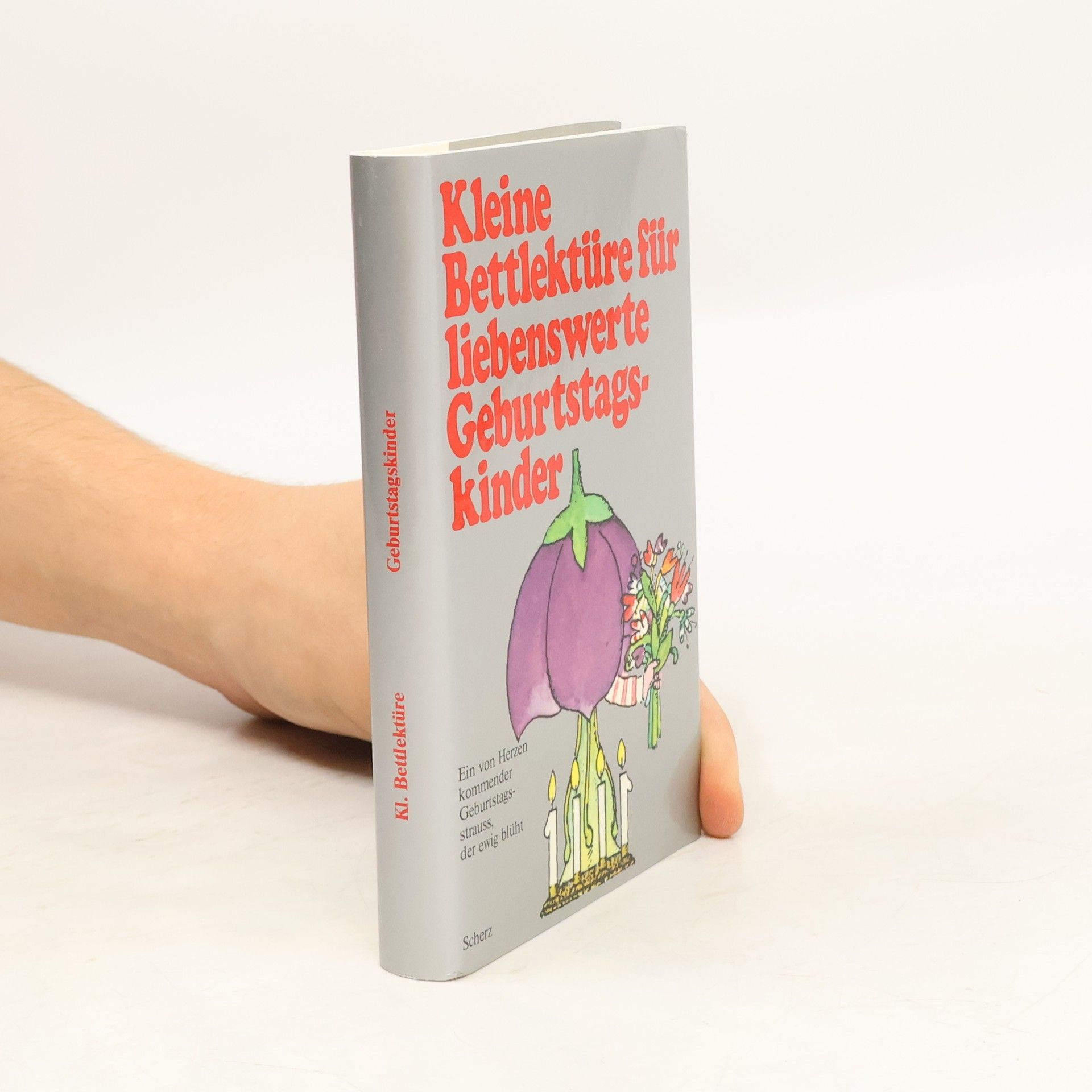 kolektiv Kleine Bettlektüre für liebenswerte Geburtstagskinder
