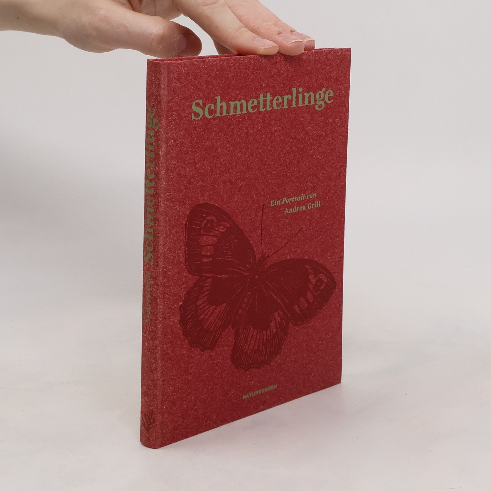 Andrea Grill Schmetterlinge