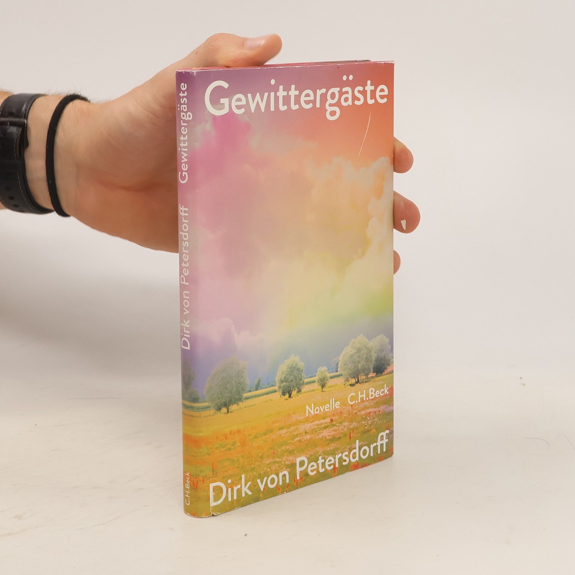 Dirk von Petersdorff Gewittergäste