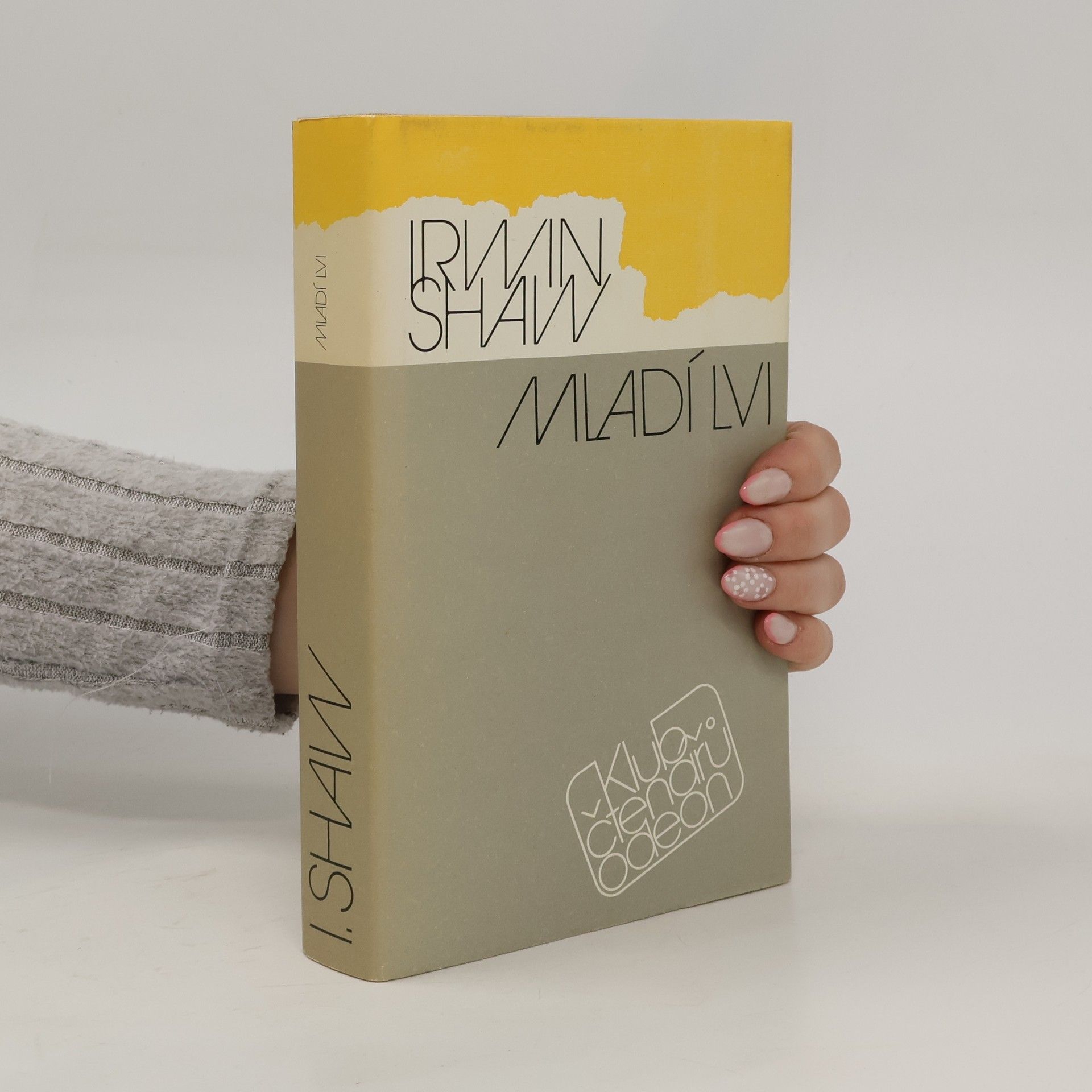 Irwin Shaw Mladí lvi