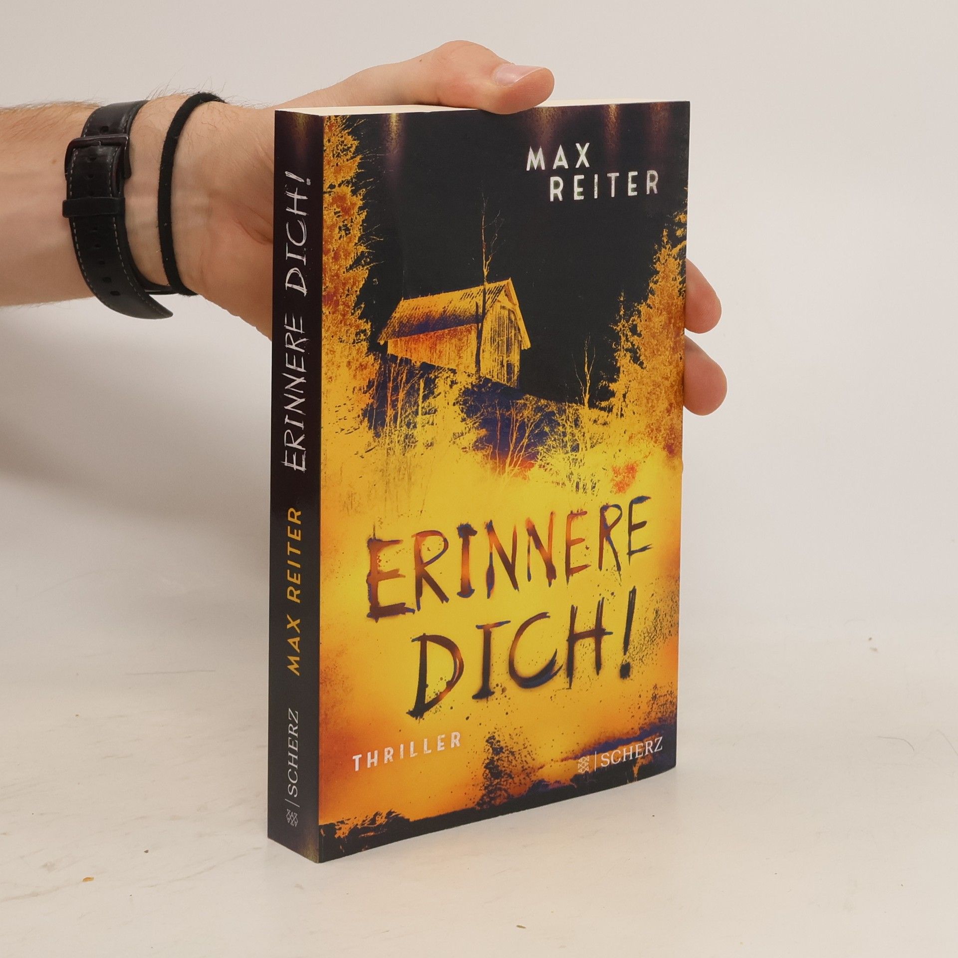 Max Reiter Erinnere dich!
