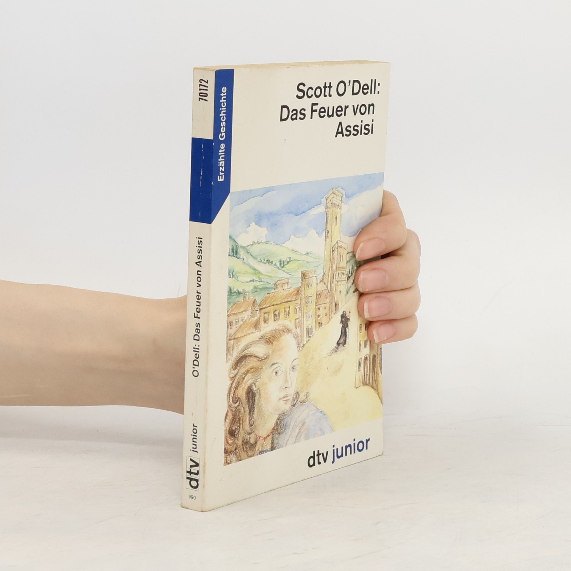 Scott O'Dell Das Feuer von Assisi