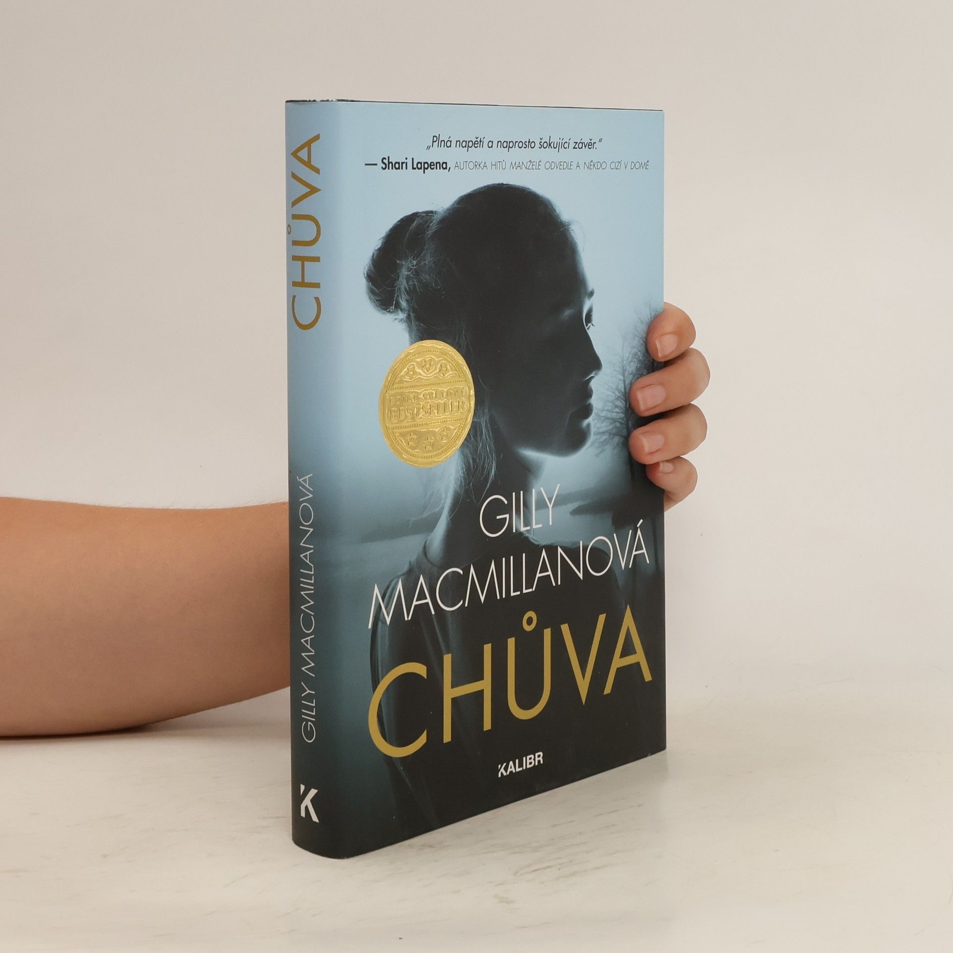 Gilly Macmillan Chůva