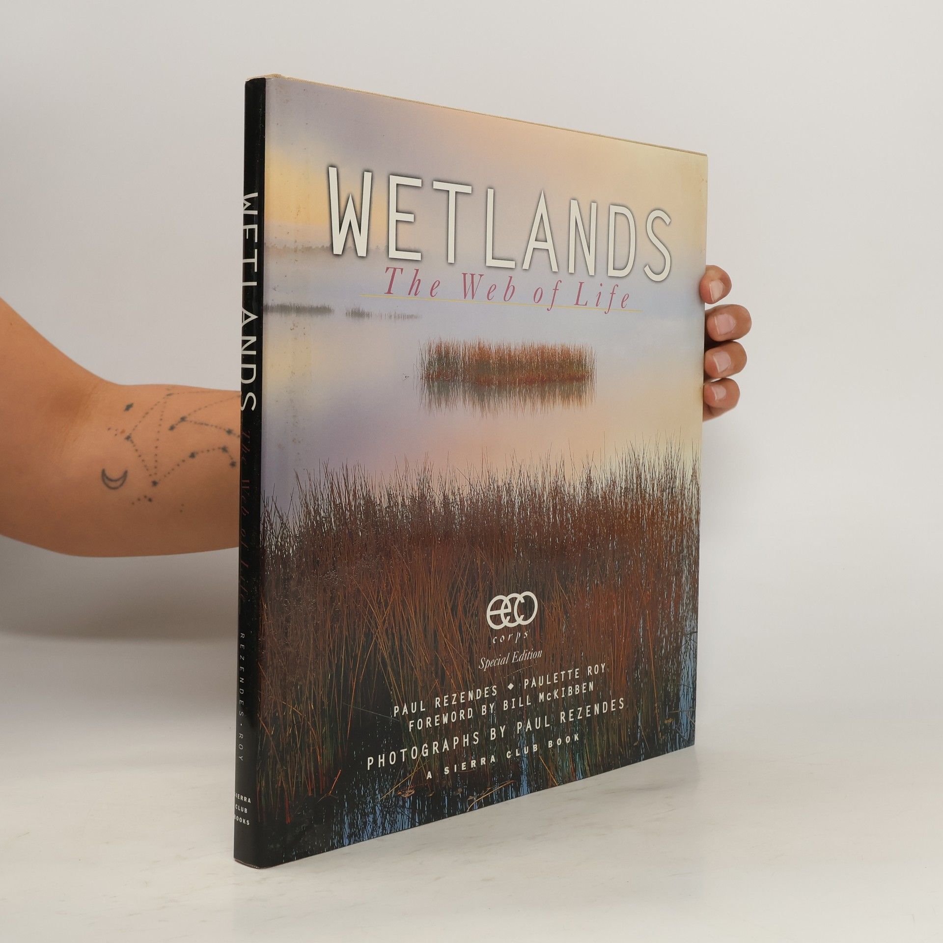 Paul Rezendes Wetlands