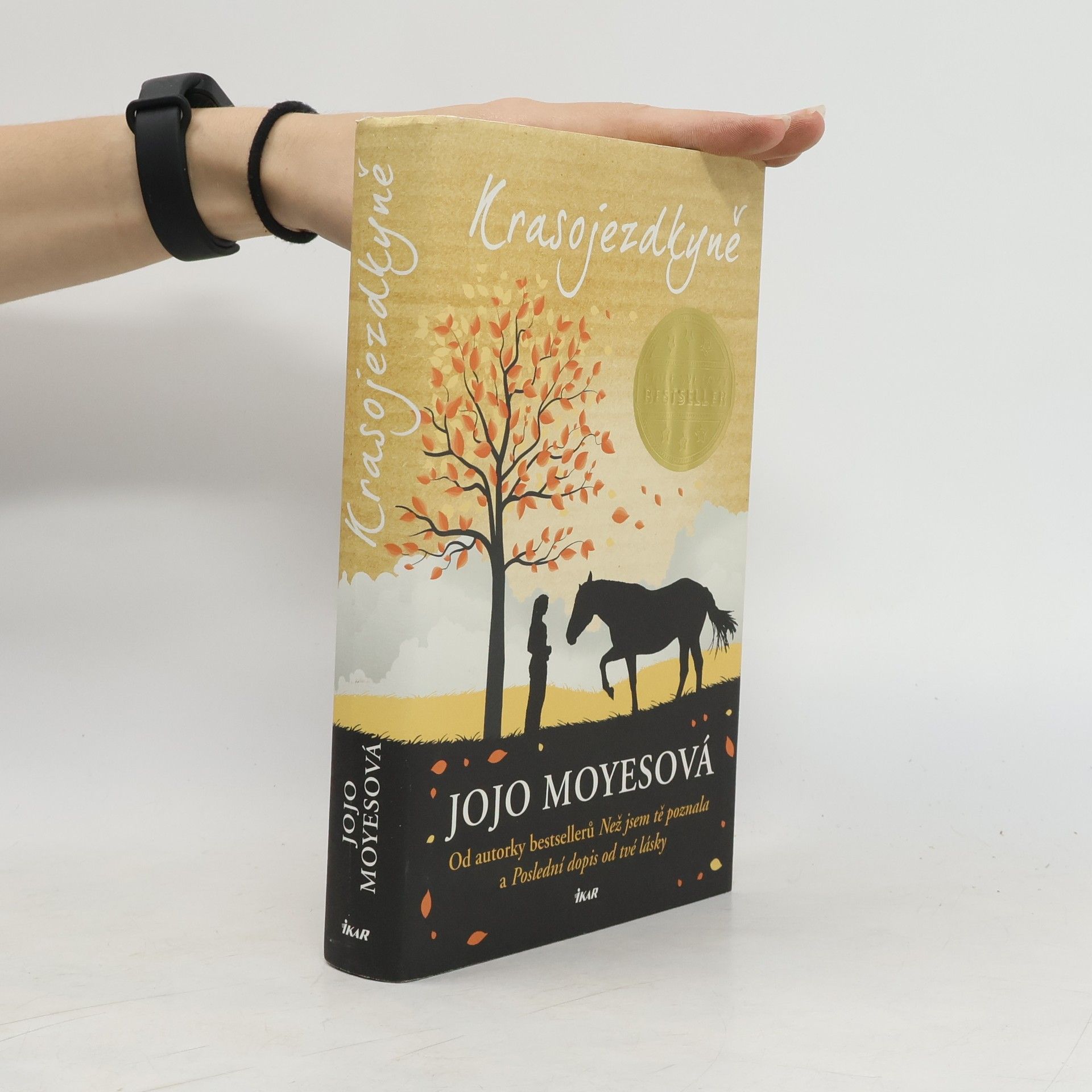 Jojo Moyes Krasojezdkyně