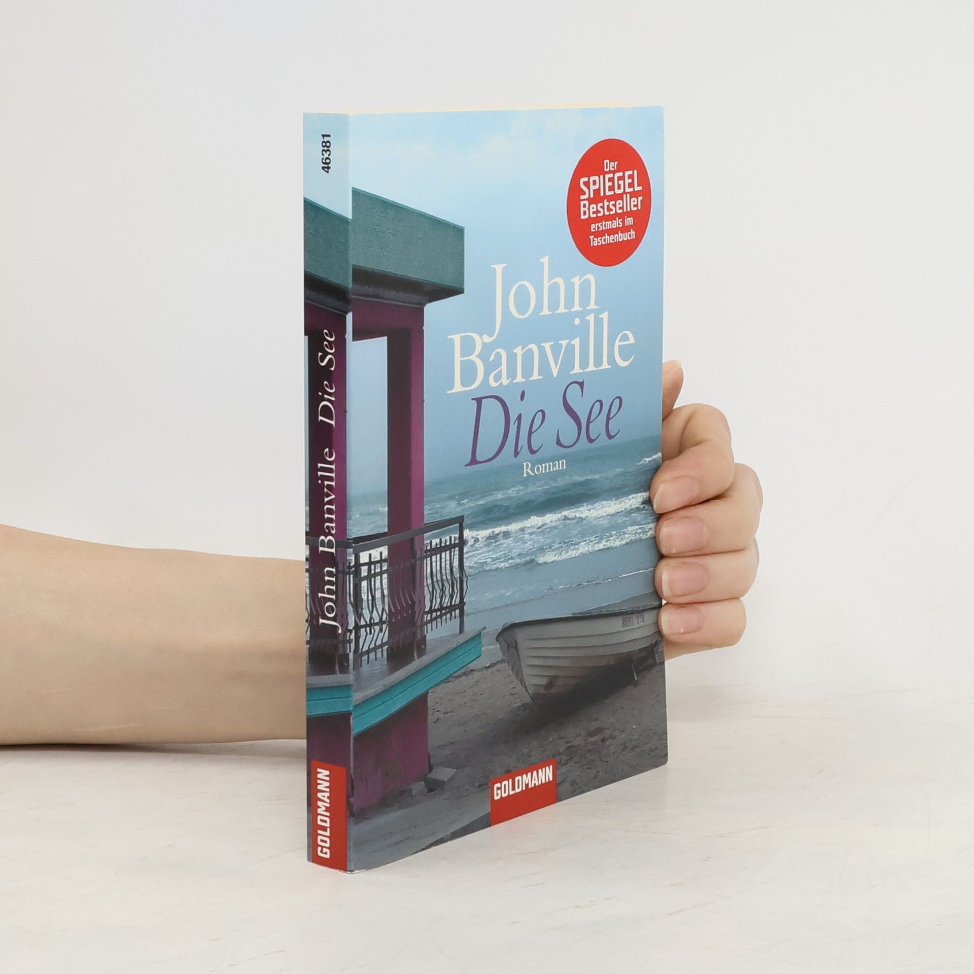 John Banville Die See