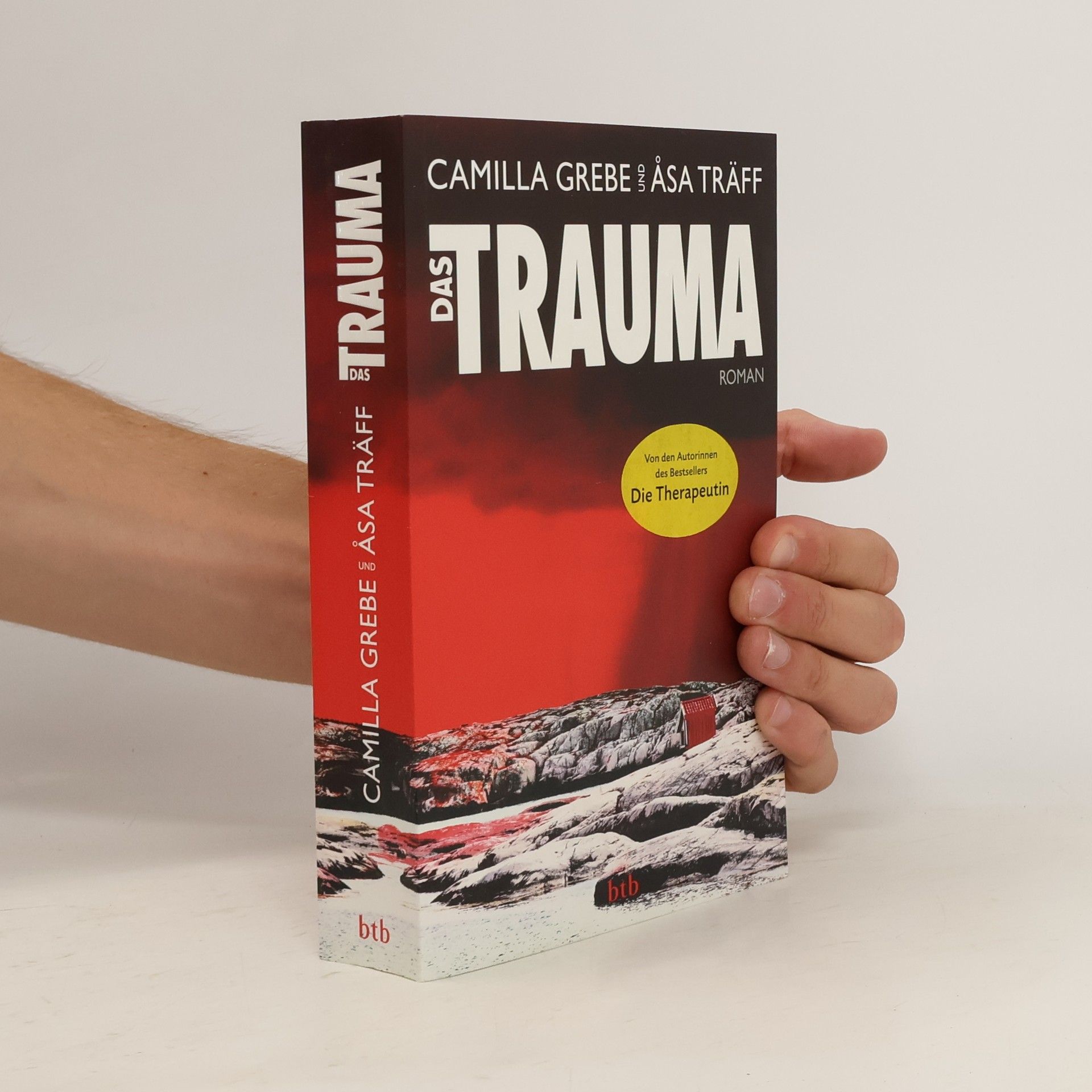 Camilla Grebe Das Trauma