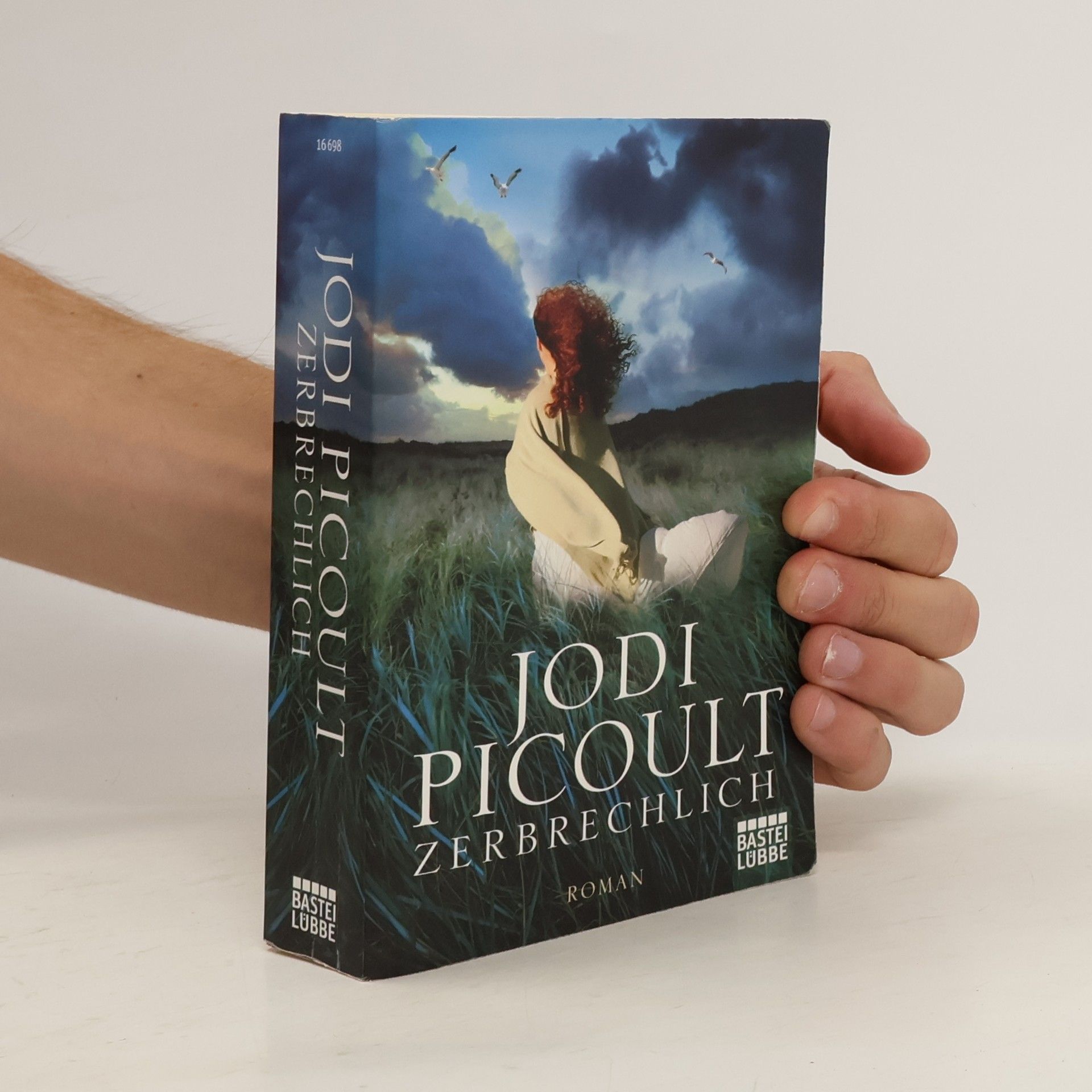 Jodi Picoult Zerbrechlich