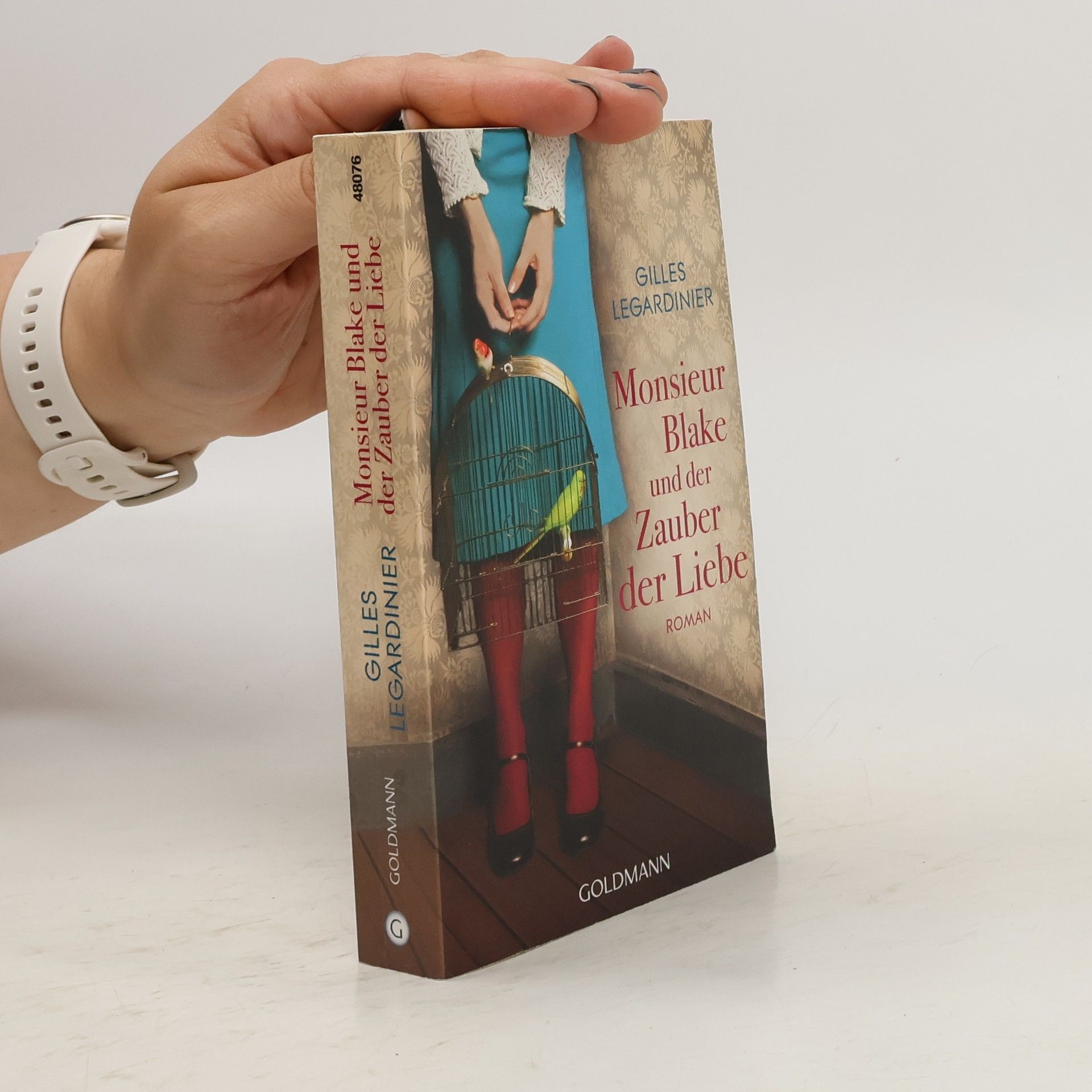 Gilles Legardinier Monsieur Blake und der Zauber der Liebe