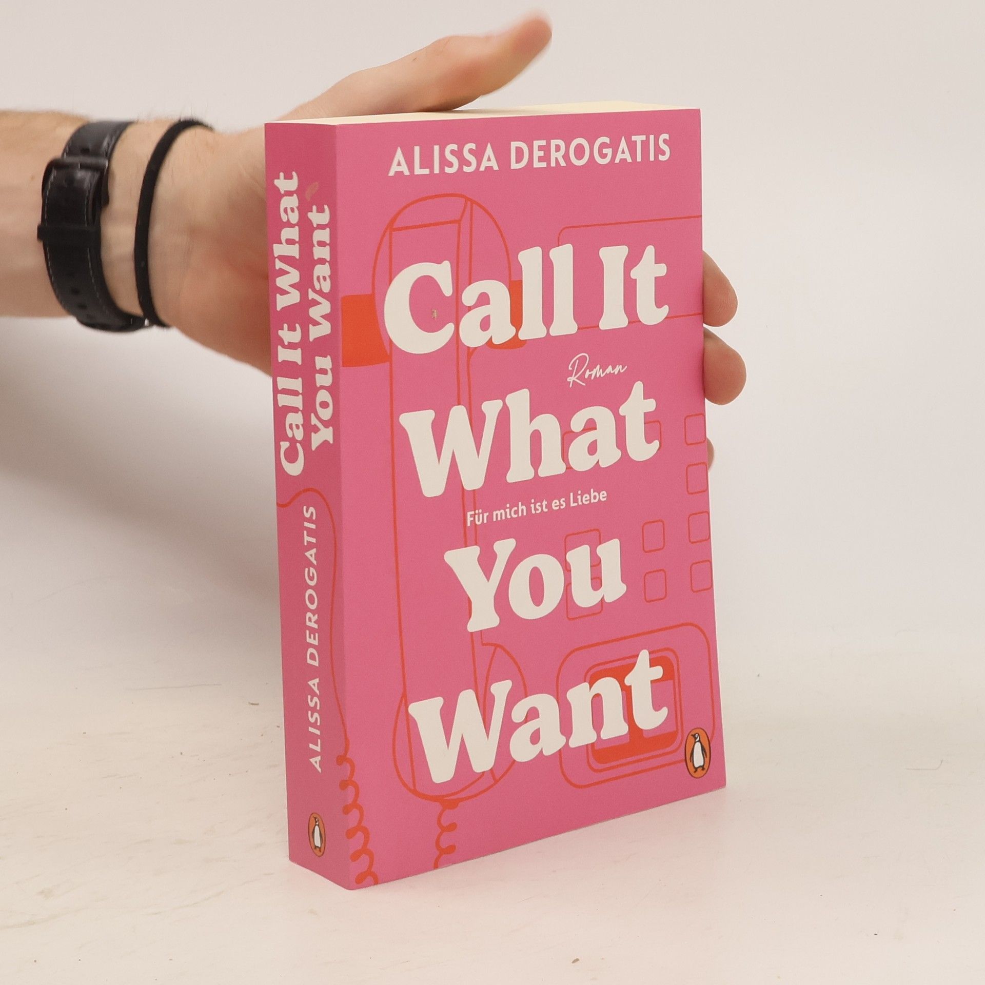 DeRogatis Alissa Call it what you want - Für mich ist es Liebe