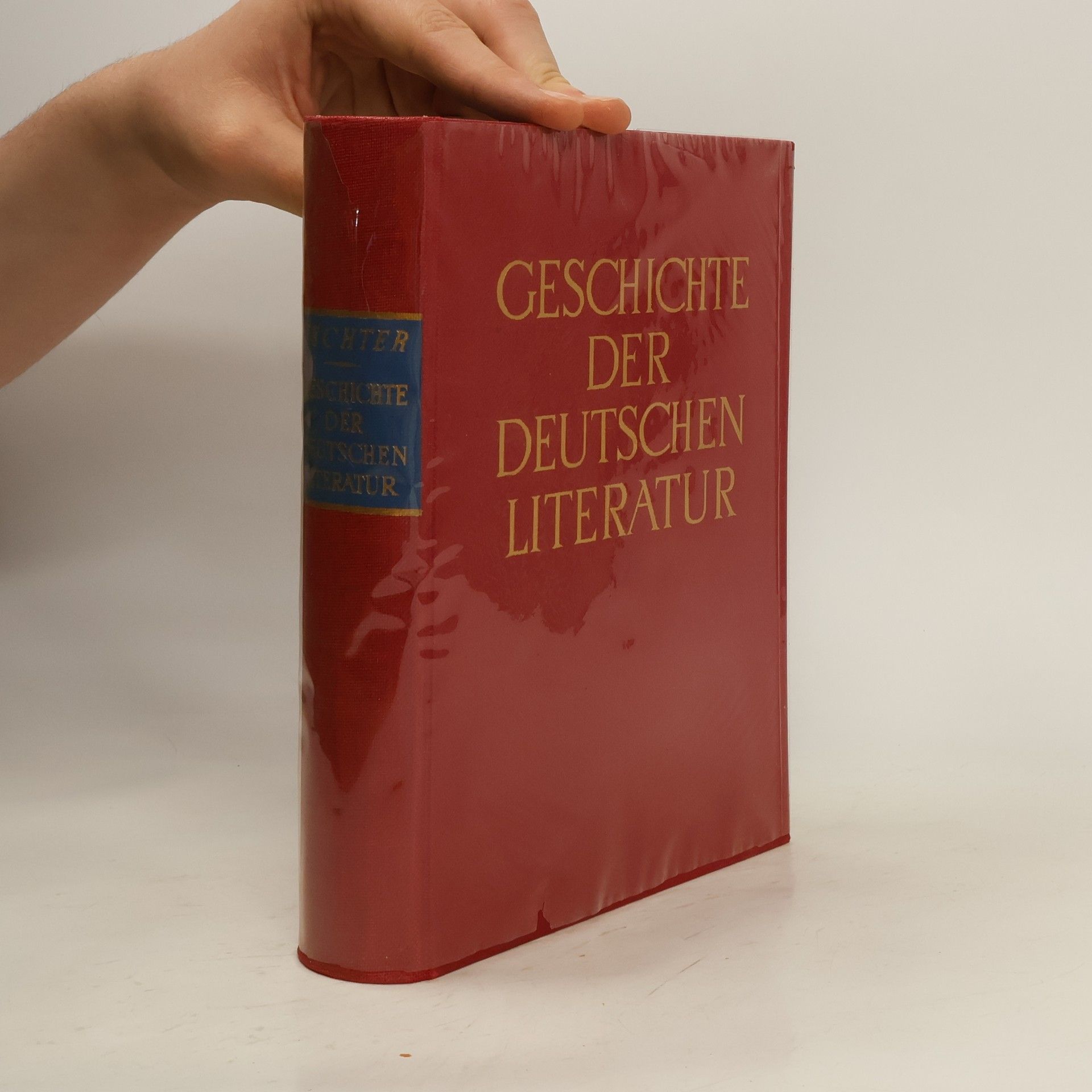 Paul Fechter Geschichte der deutschen Literatur. Von den Anfängen bis zur Gegenwart