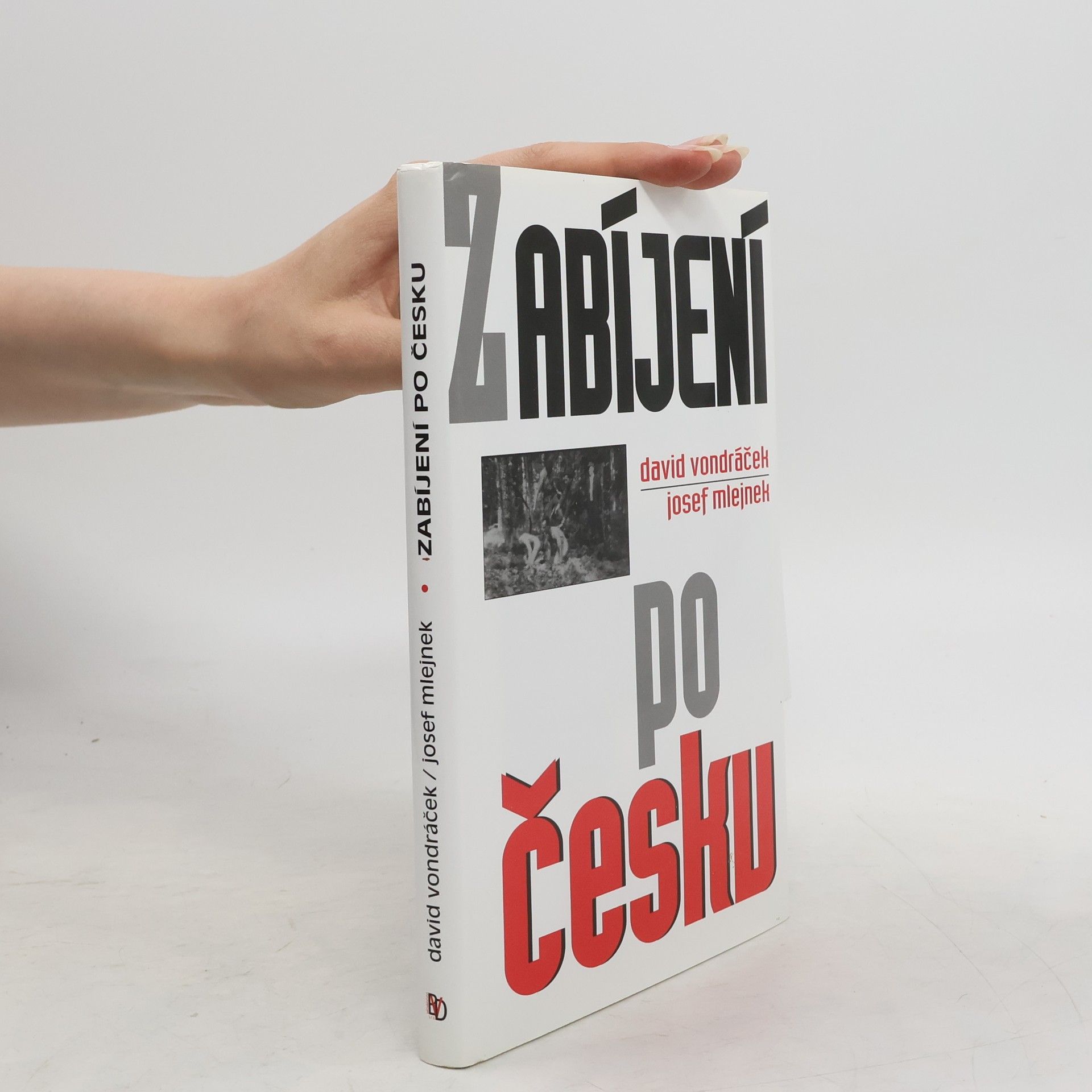 David Vondráček Zabíjení po česku
