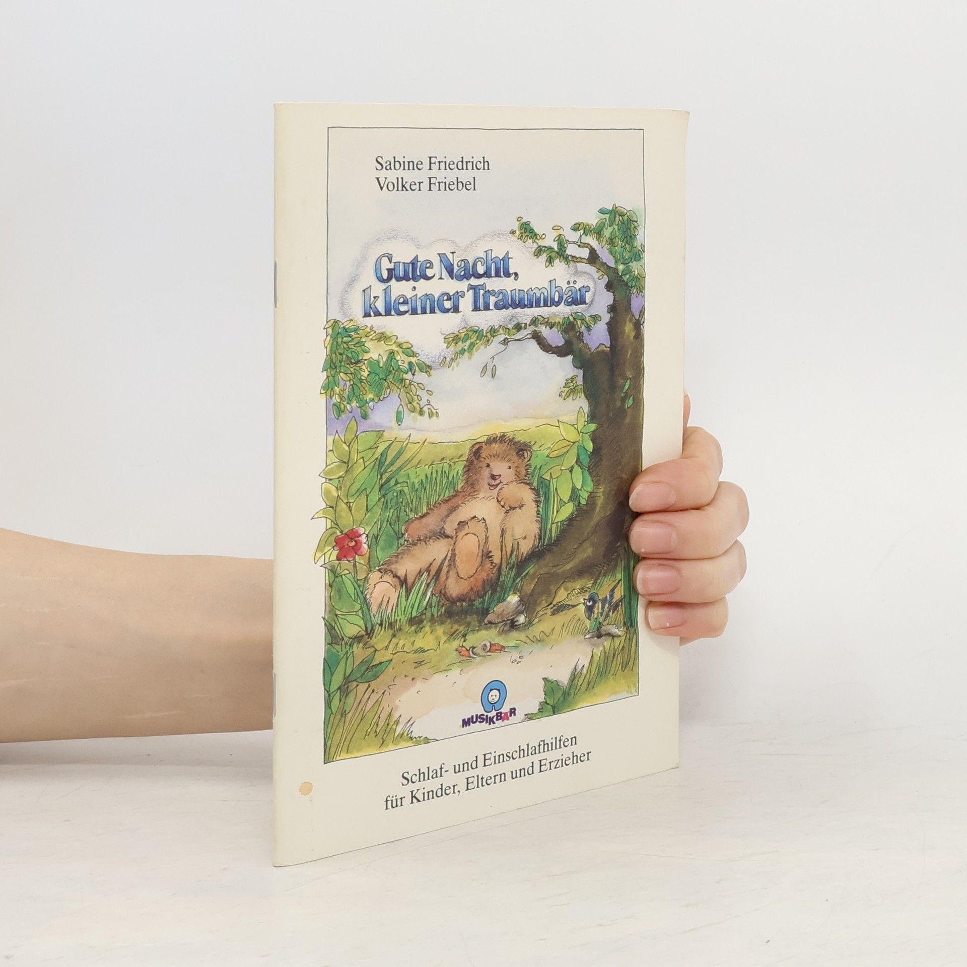 Sabine Friedrich Gute Nacht, kleiner Traumbär